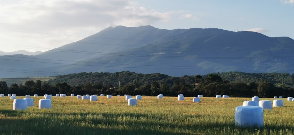 um campo de fardos de feno com uma montanha ao fundo