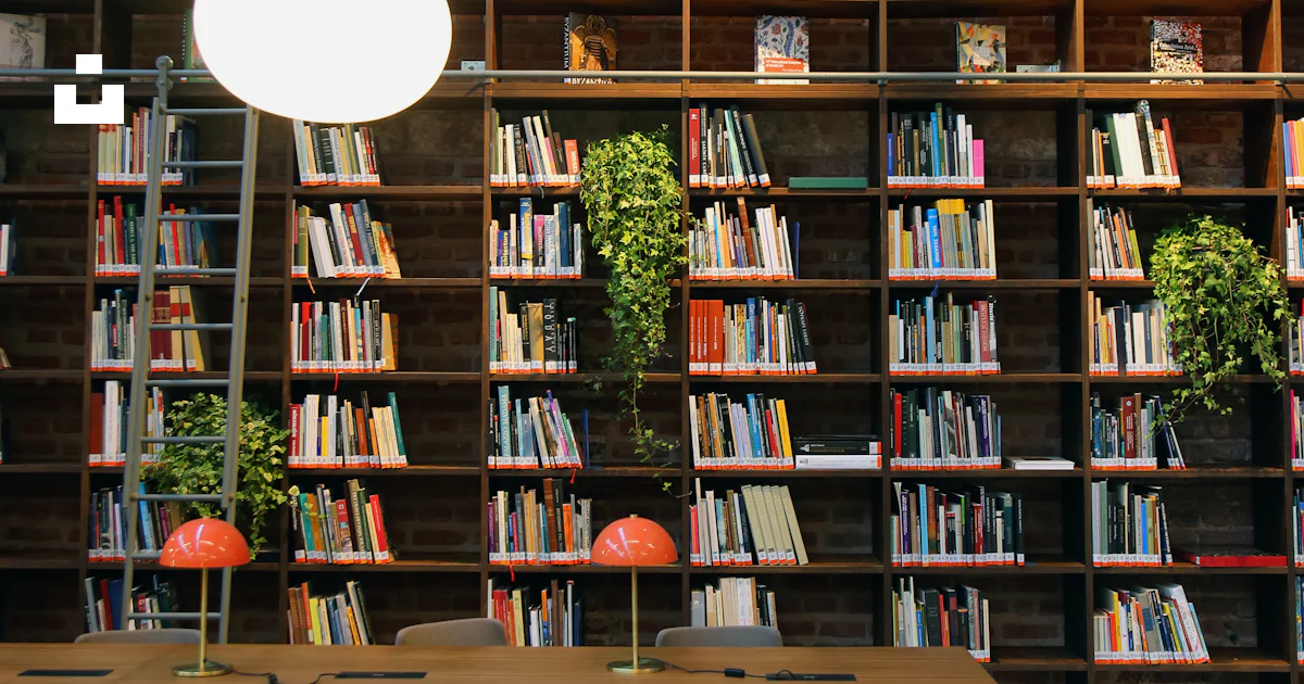 A library with a long table and chairs photo – Free Building Image on ...