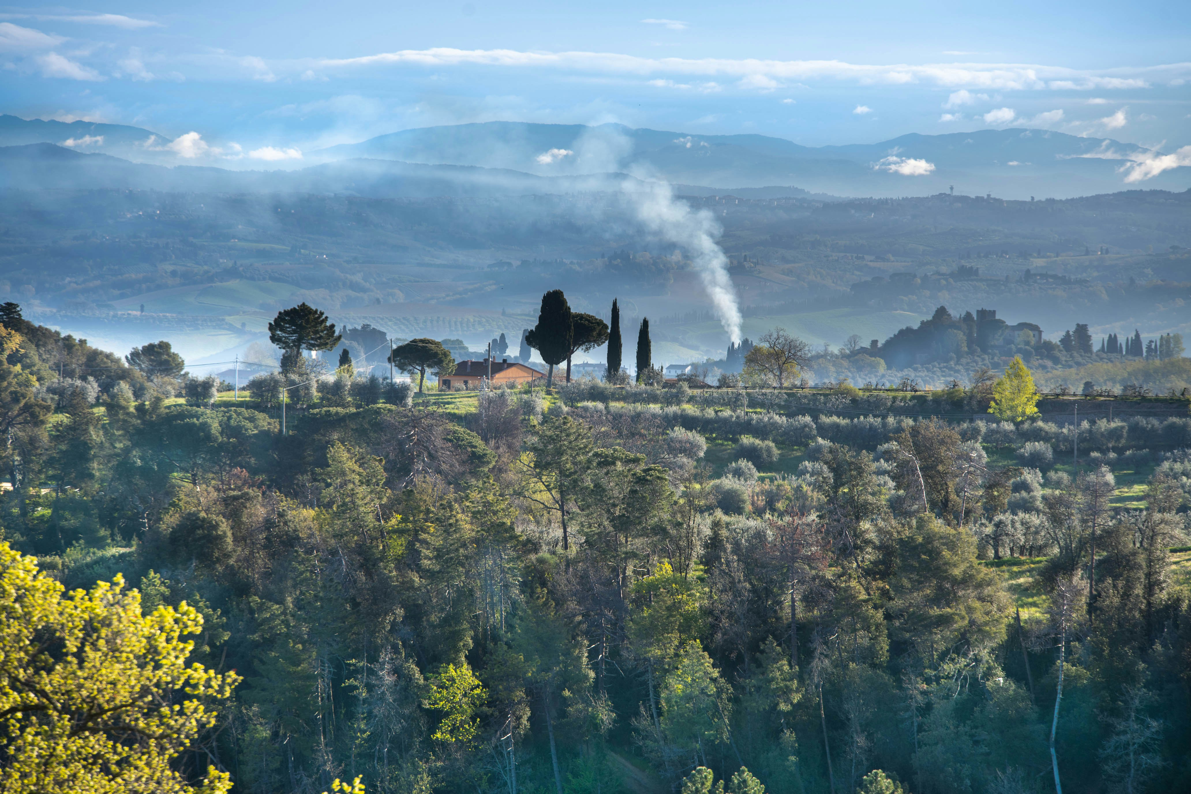 a scenic view of the countryside with trees and mountains in the background