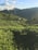 A lush green landscape with rolling hills covered in tea plantations. A small house with a green roof is nestled among the hills, surrounded by vibrant greenery. The distant mountains are partially covered in low-lying clouds under a bright blue sky scattered with white clouds.