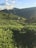 A lush green landscape with rolling hills covered in tea plantations. A small house with a green roof is nestled among the hills, surrounded by vibrant greenery. The distant mountains are partially covered in low-lying clouds under a bright blue sky scattered with white clouds.
