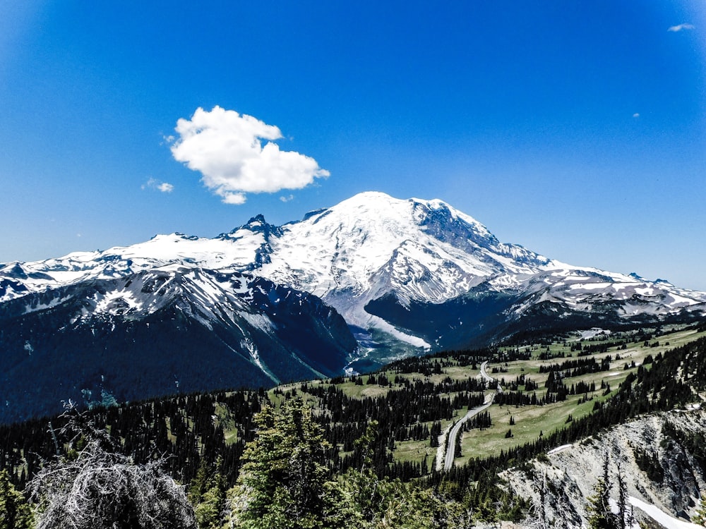 a view of a snow covered mountain from the top of a hill