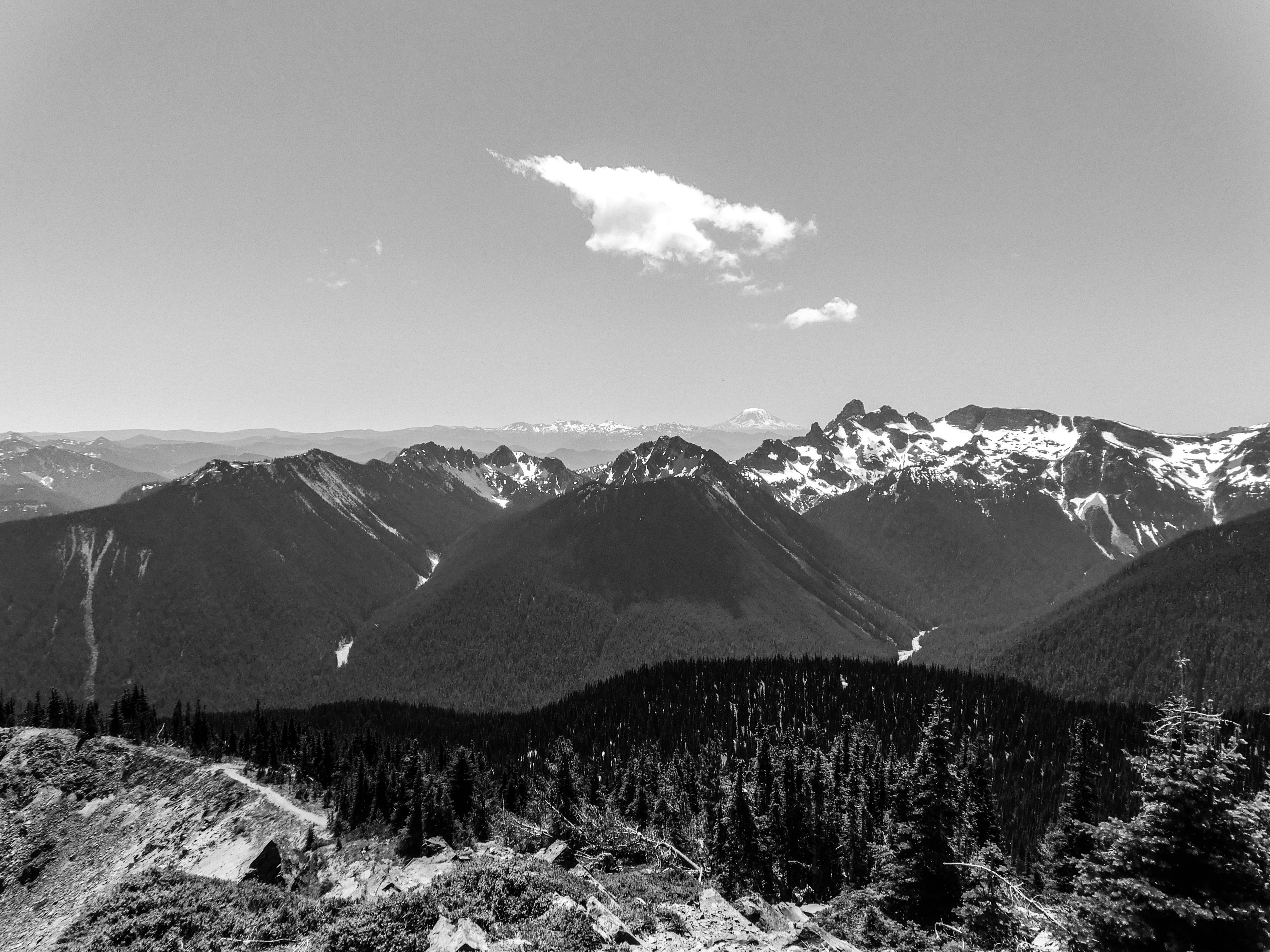 Photo by prphotography262