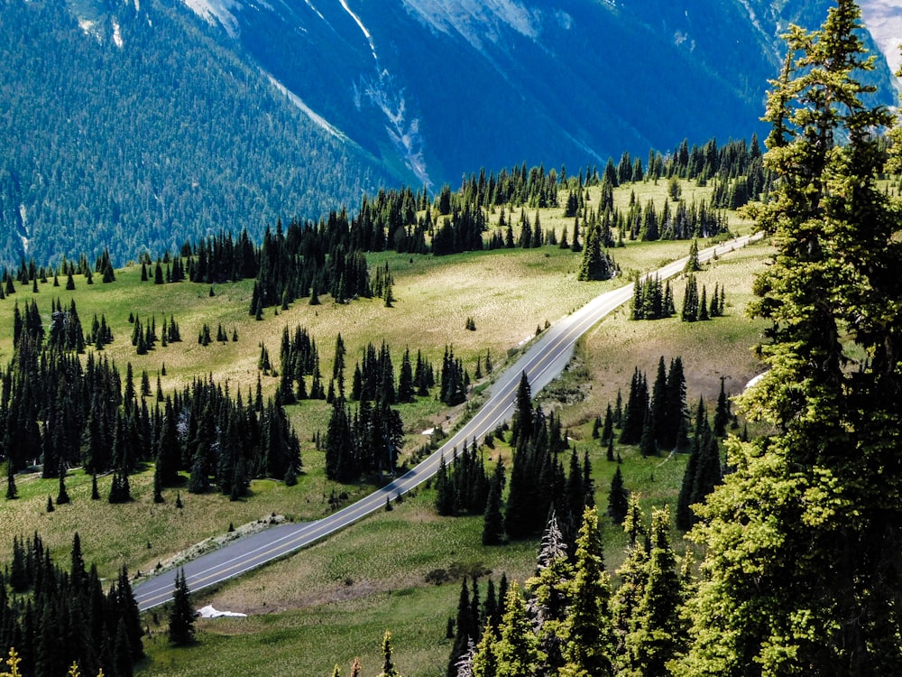 a scenic view of a road in the mountains