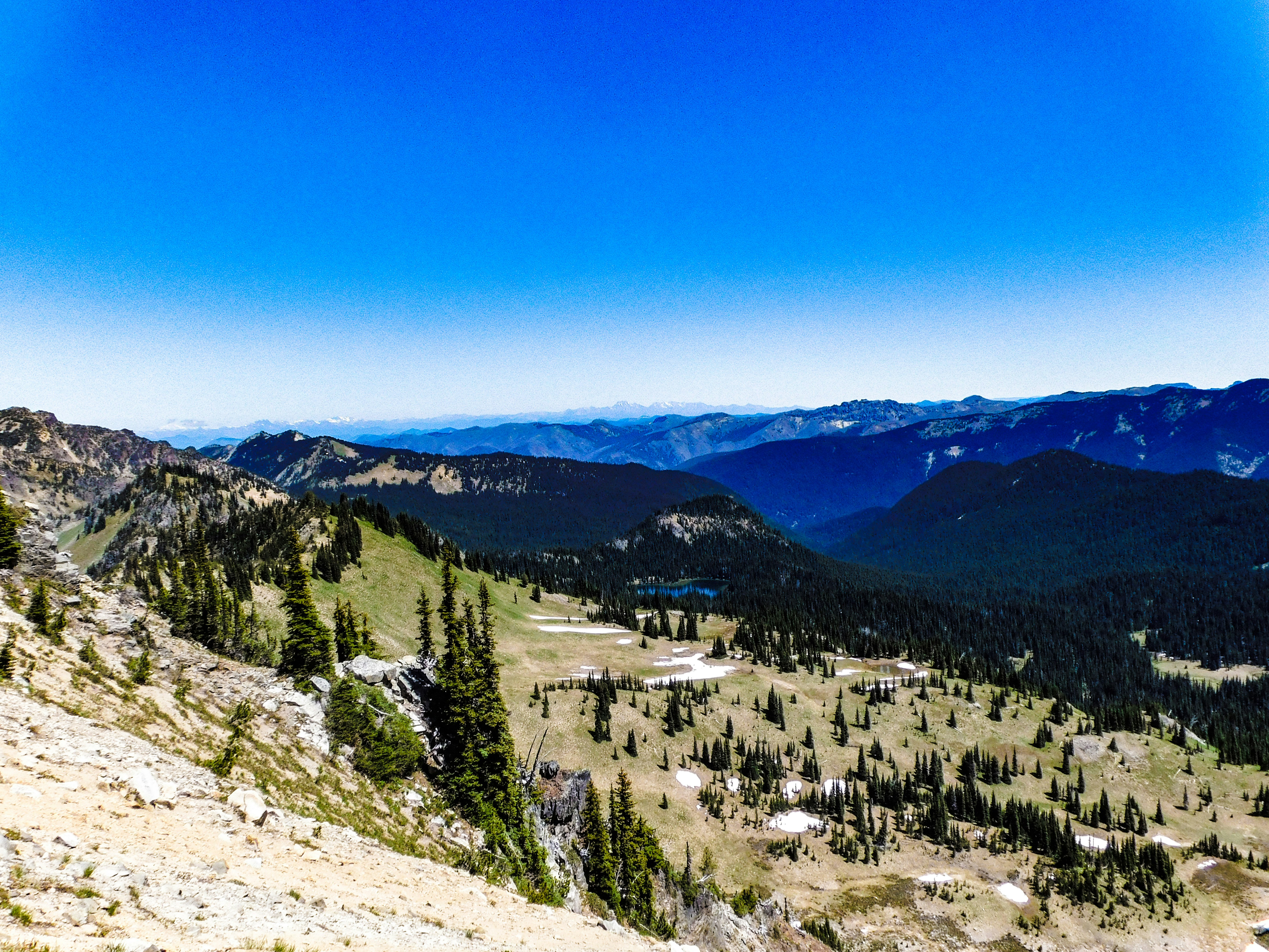 Photo by prphotography262