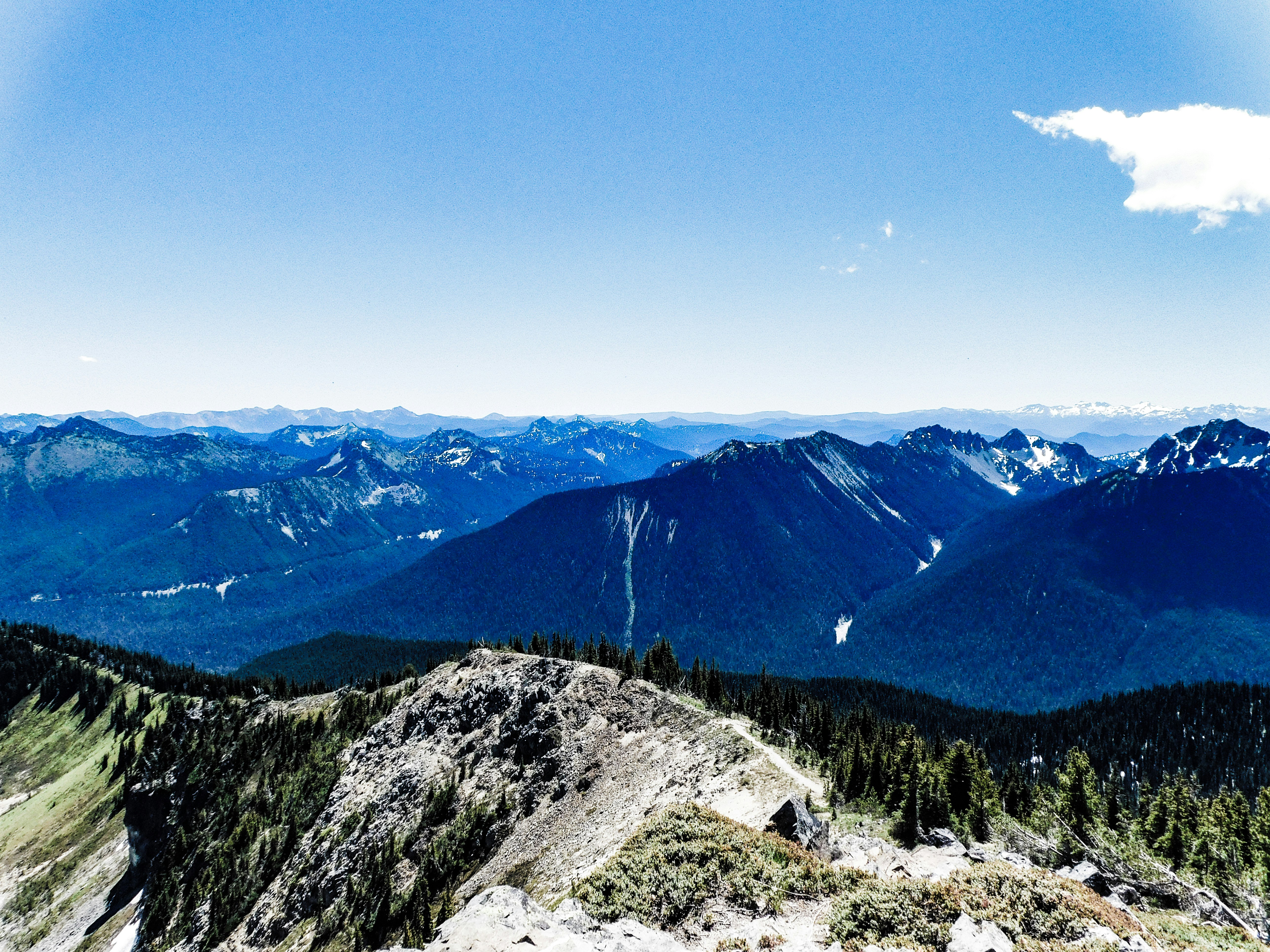 Photo by prphotography262