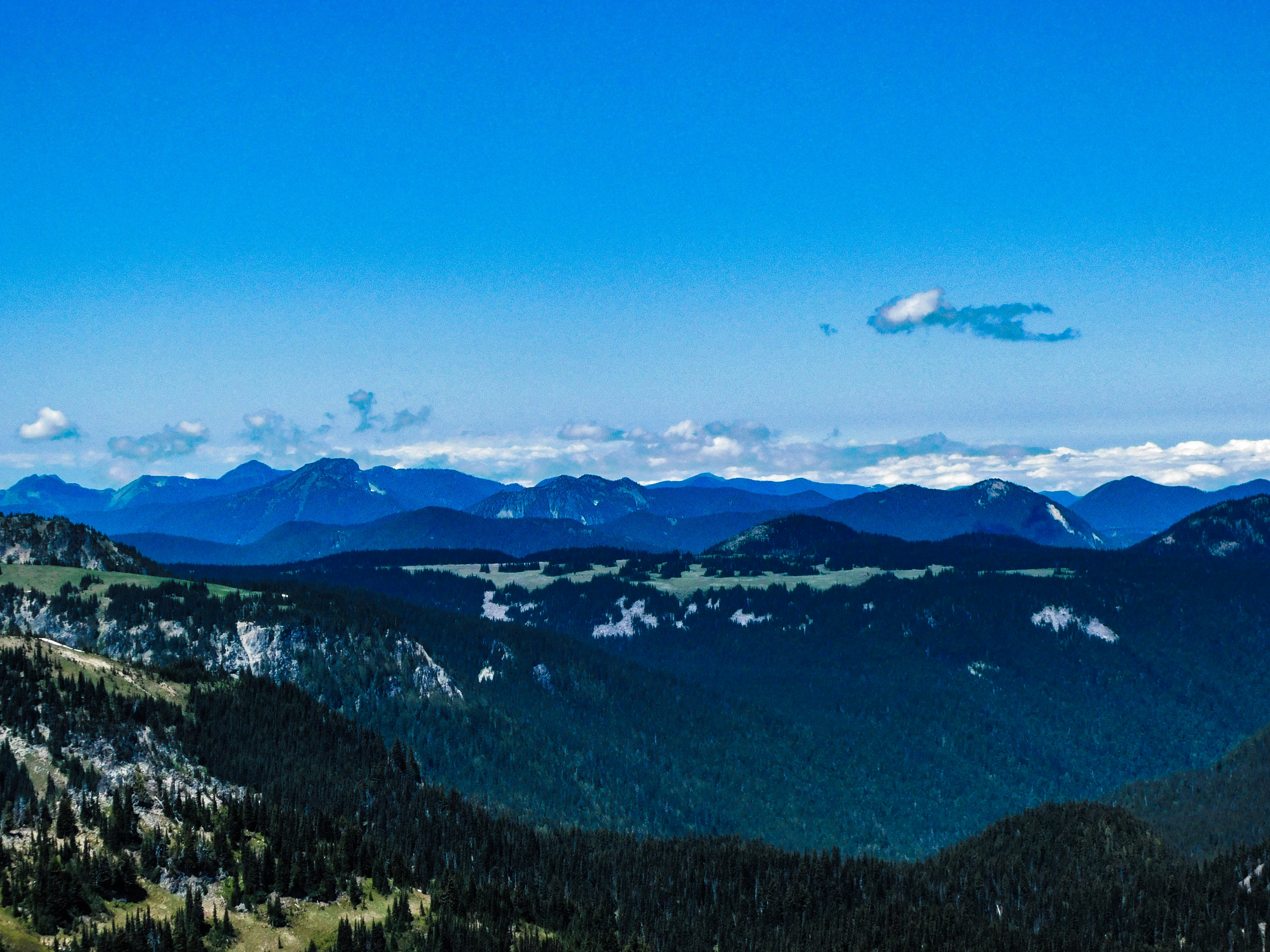 Photo by prphotography262