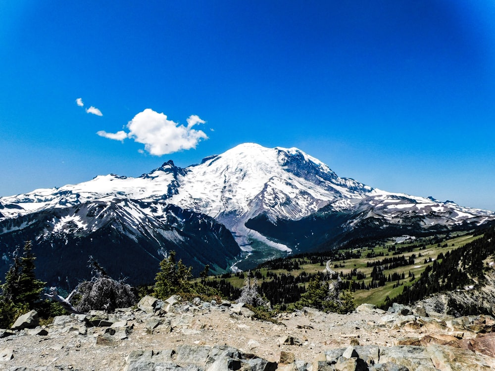 a view of a snow covered mountain from the top of a hill