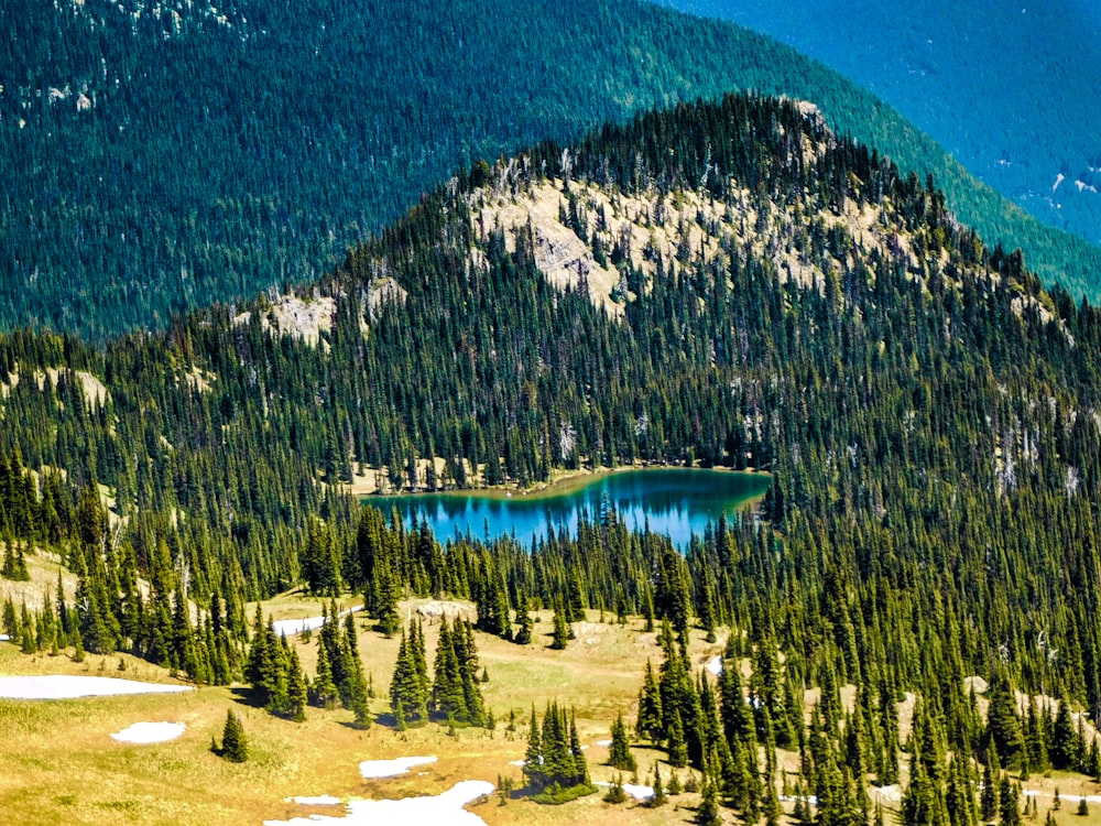 Una montaña con un lago rodeado de árboles
