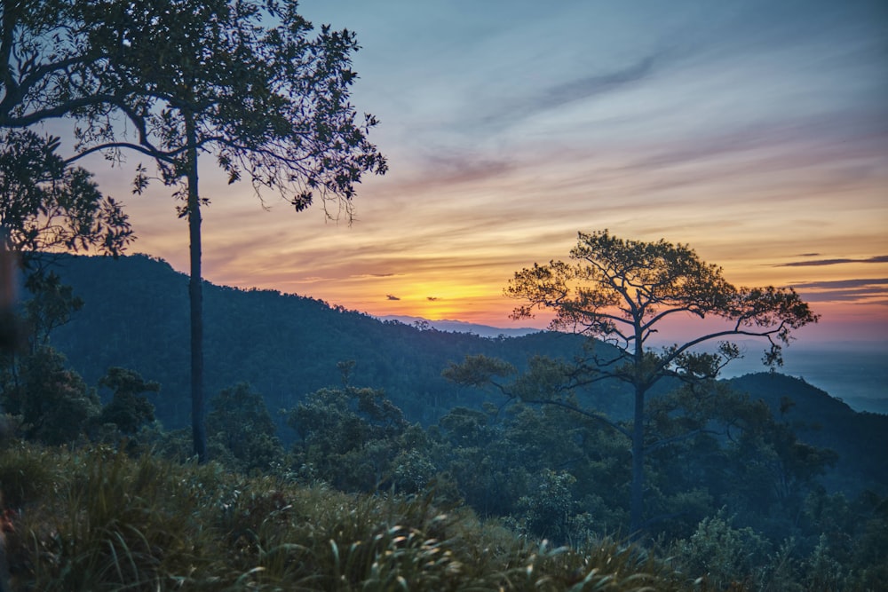 the sun is setting over the mountains and trees