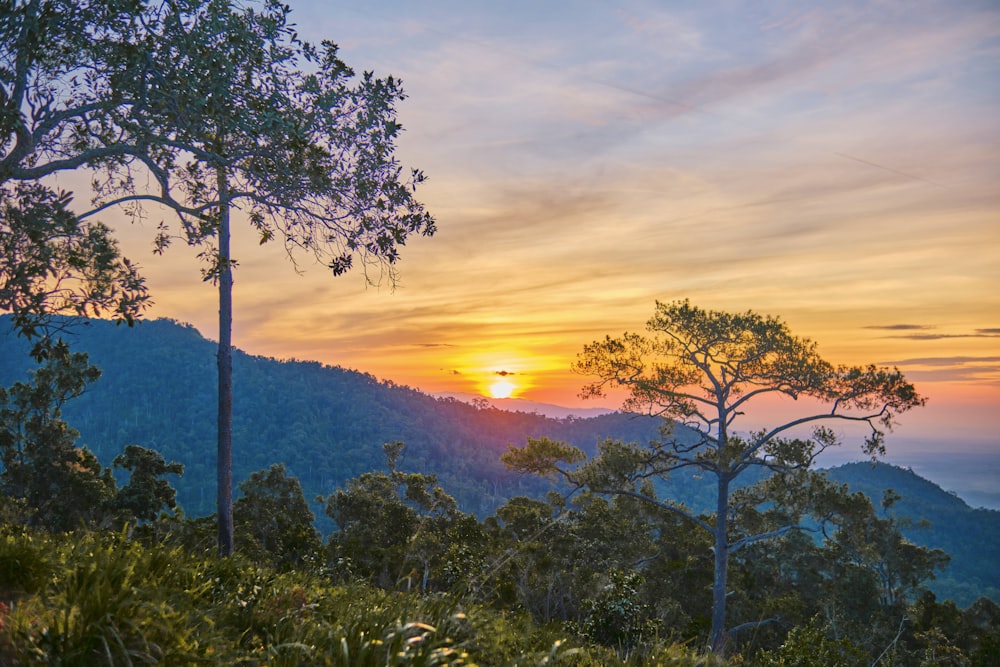 the sun is setting over the mountains and trees