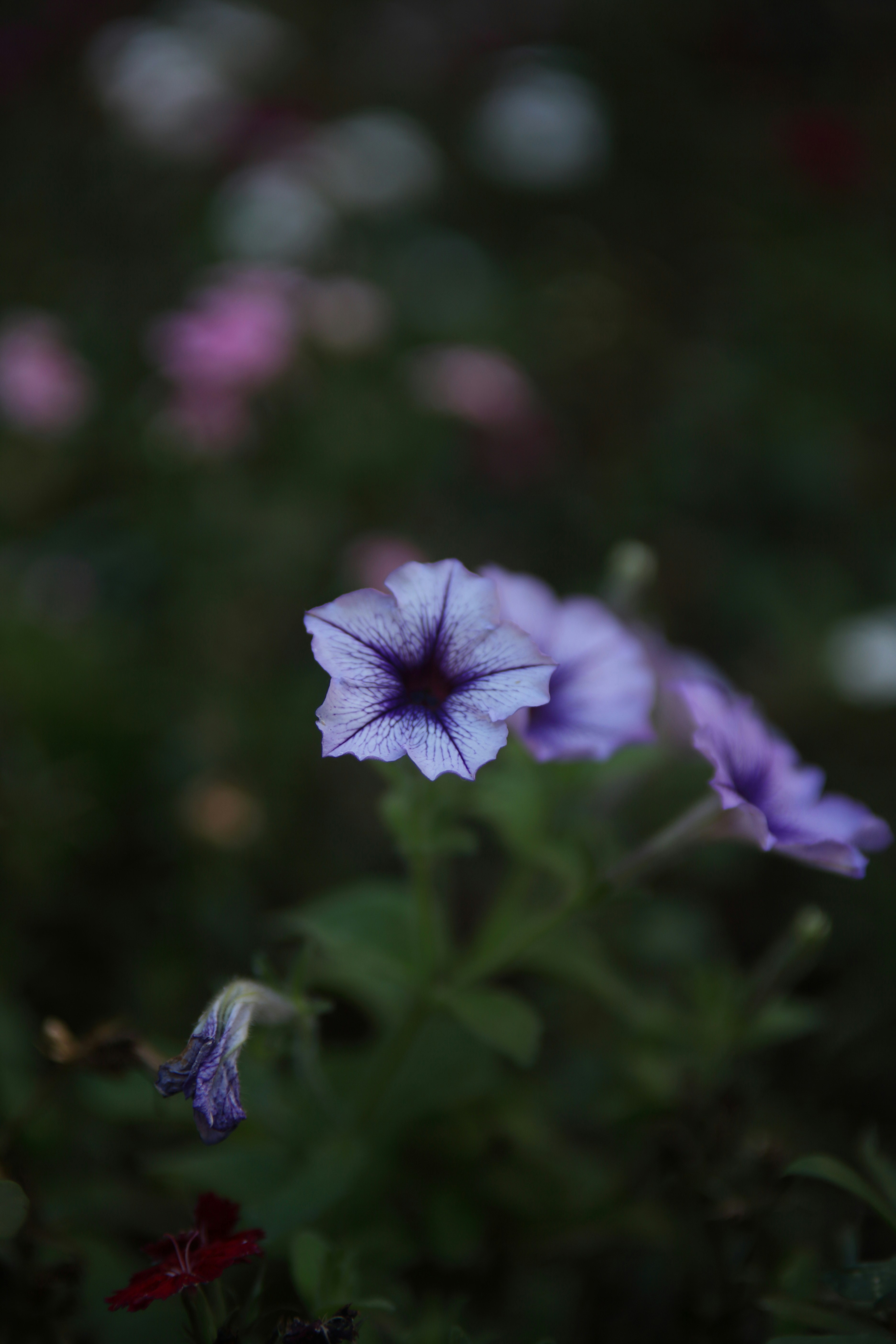 Photo by takatsuchida