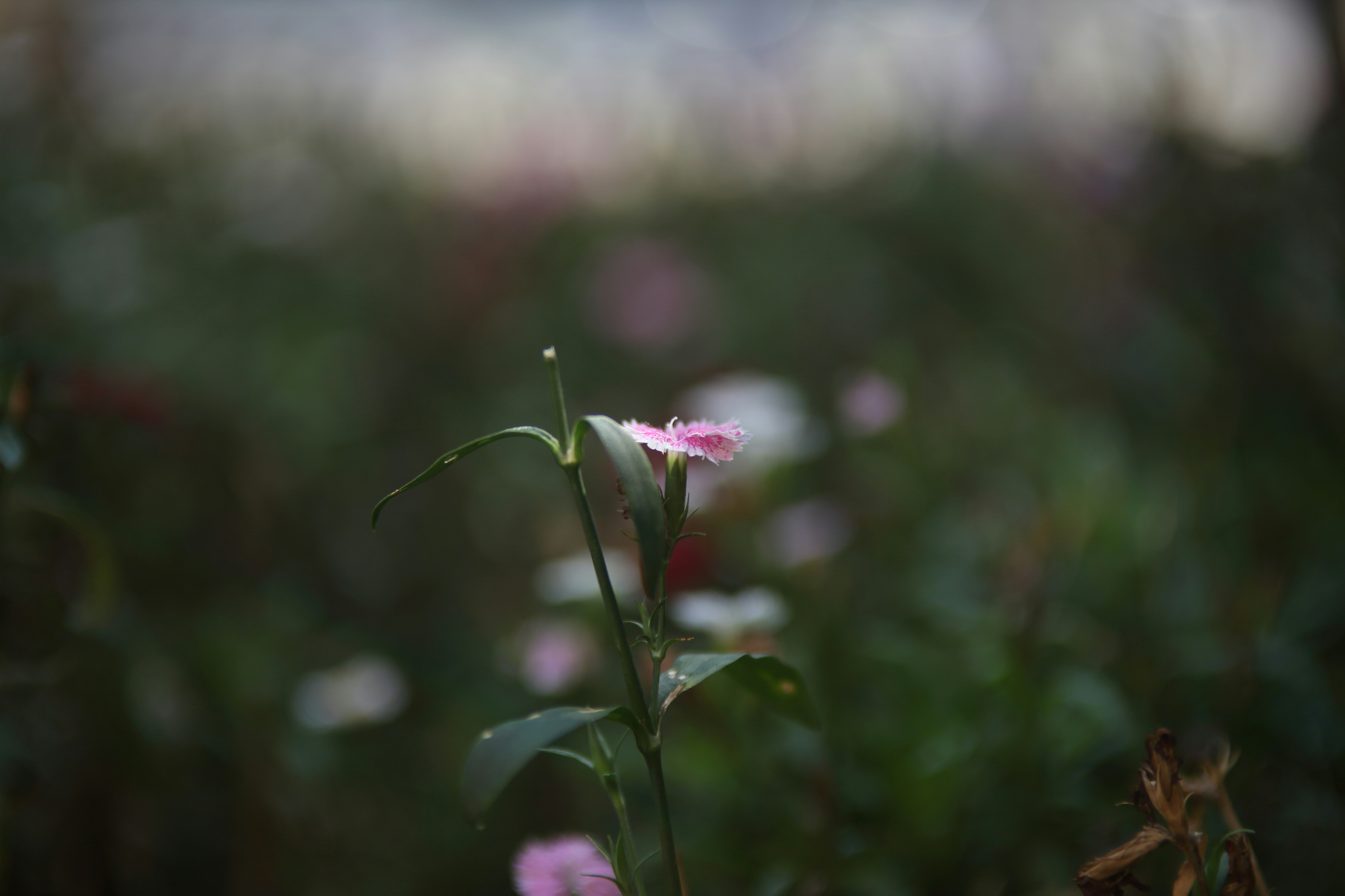 Photo by takatsuchida