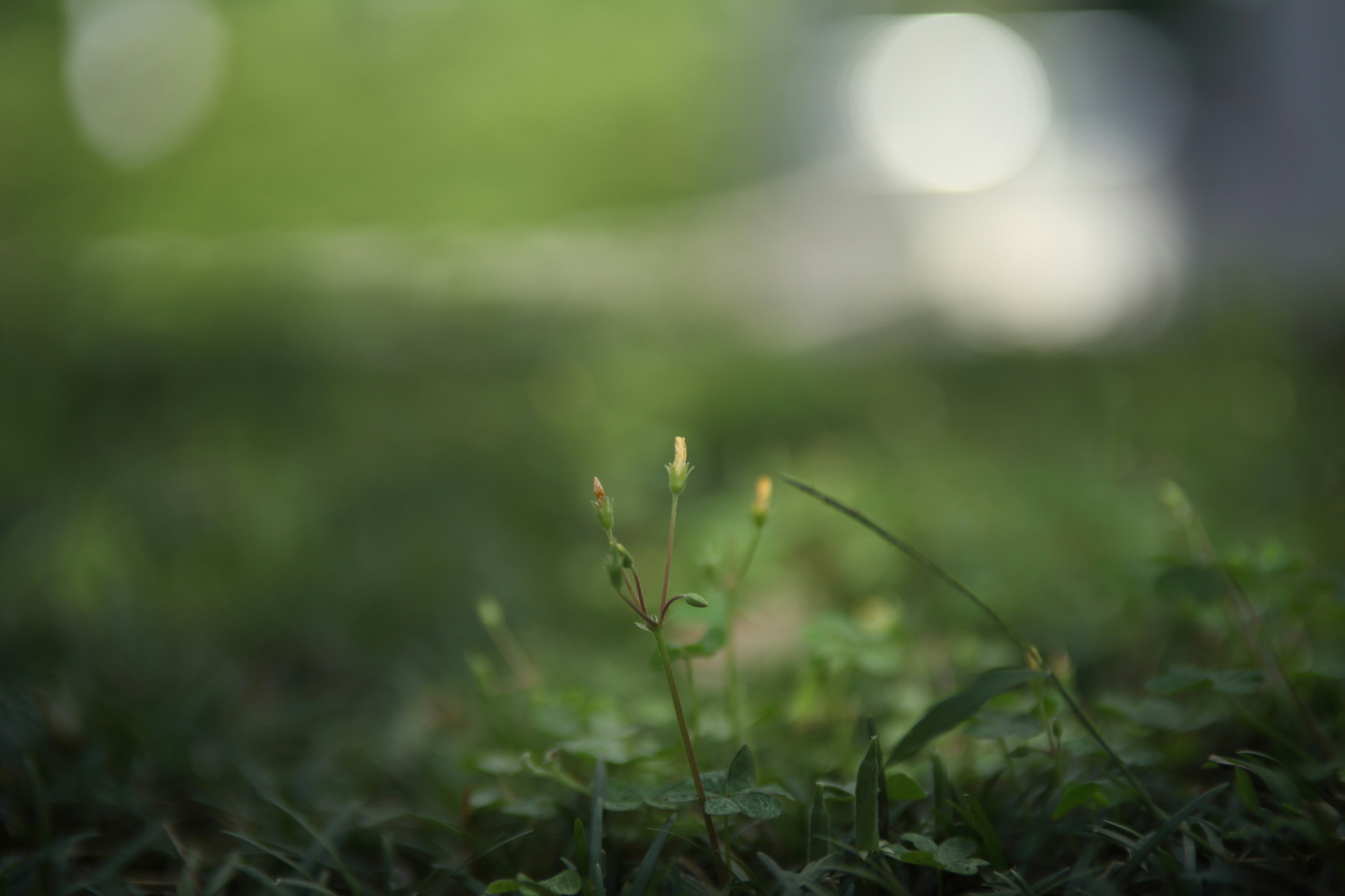 Photo by takatsuchida