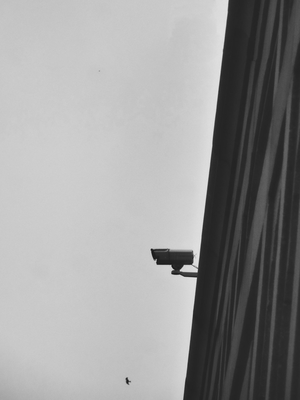 una foto in bianco e nero di un semaforo