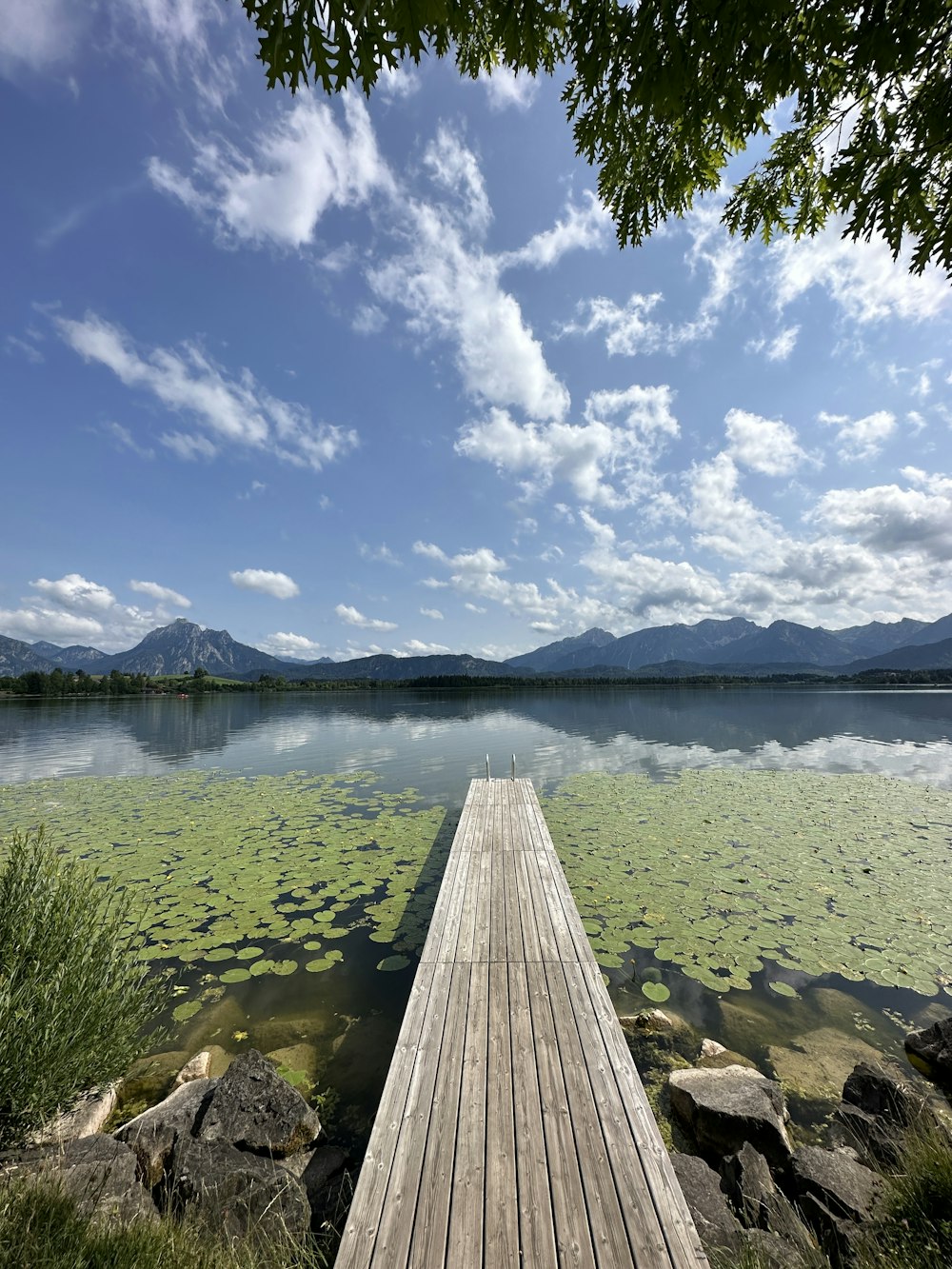 a wooden dock sitting next to a body of water