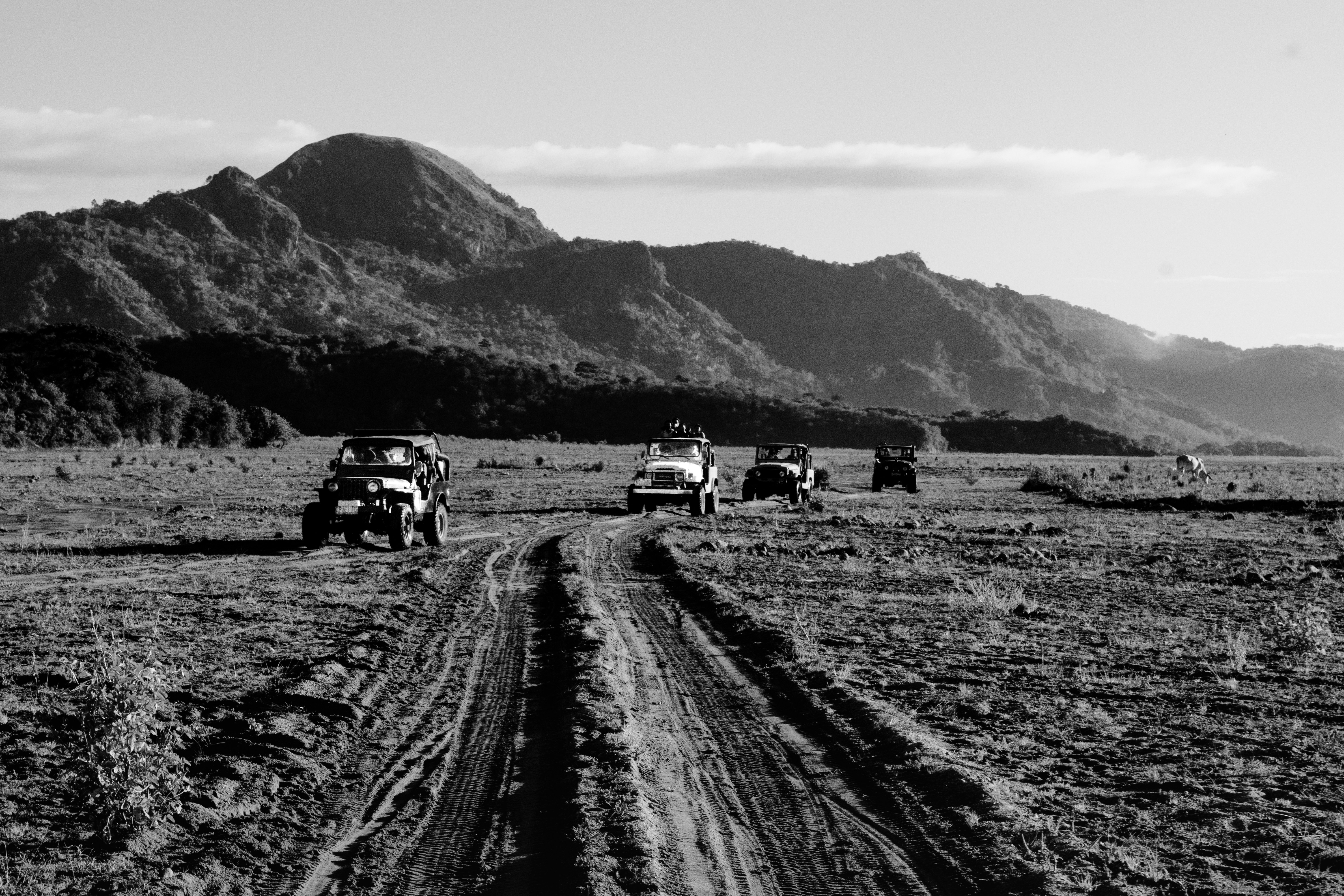 a black and white photo of four jeeps on a dirt road