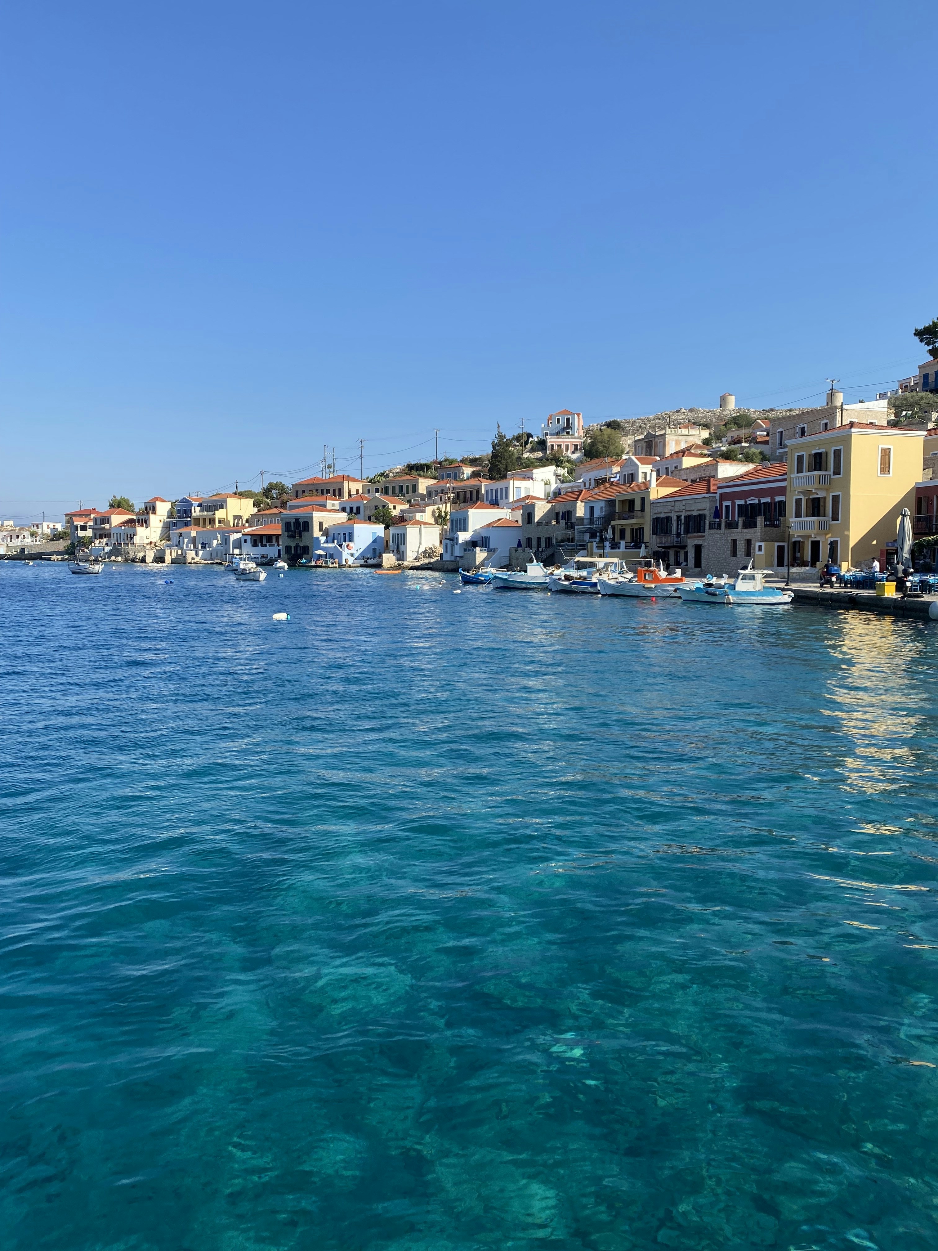 Photo by thelensational