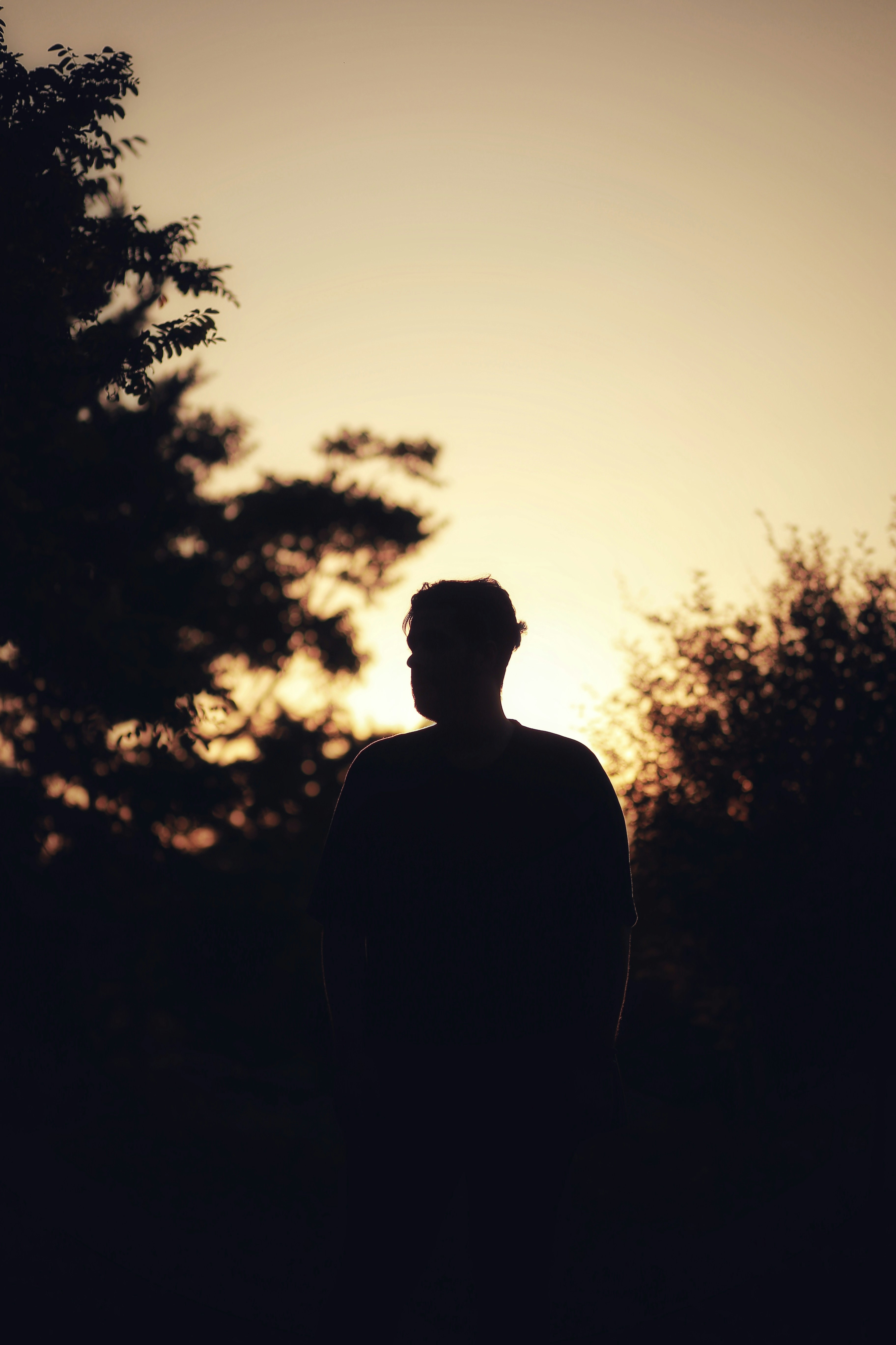 Photo by hoseinfayton