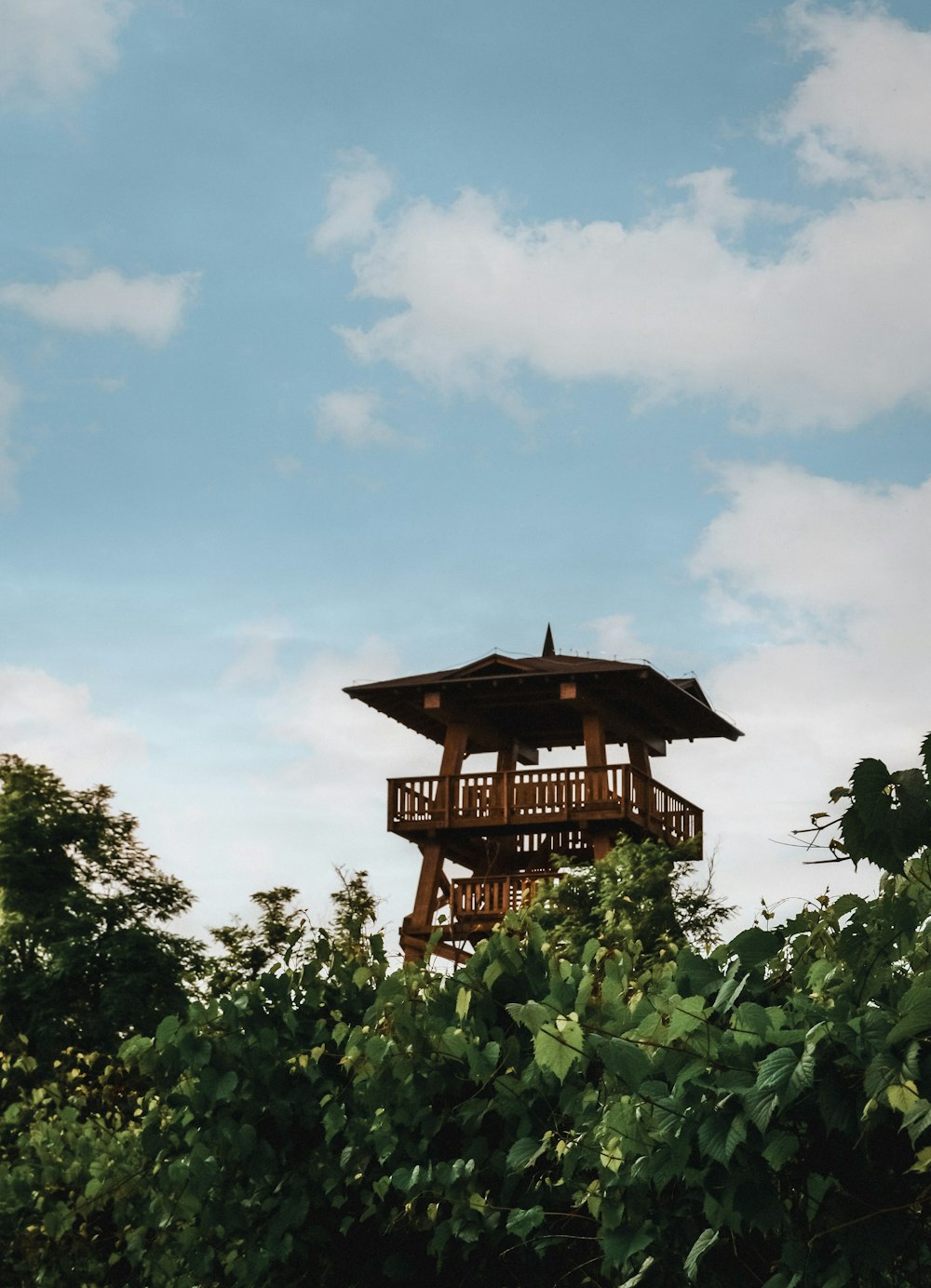 a tall wooden tower sitting above a lush green forest