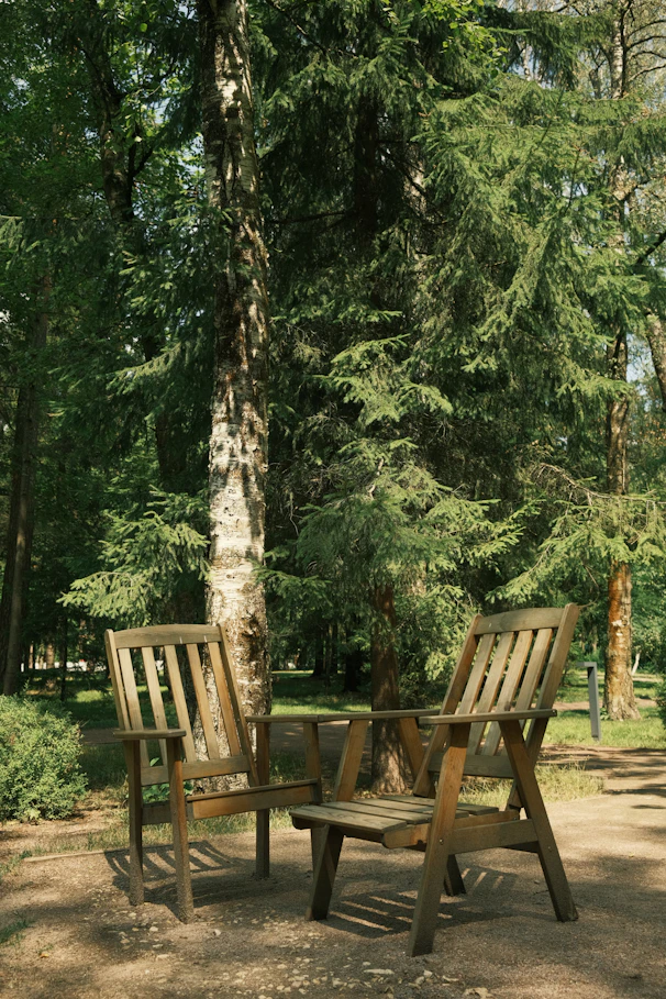 A handcrafted wooden chair and table set placed on a forest clearing with sunlight filtering through trees.