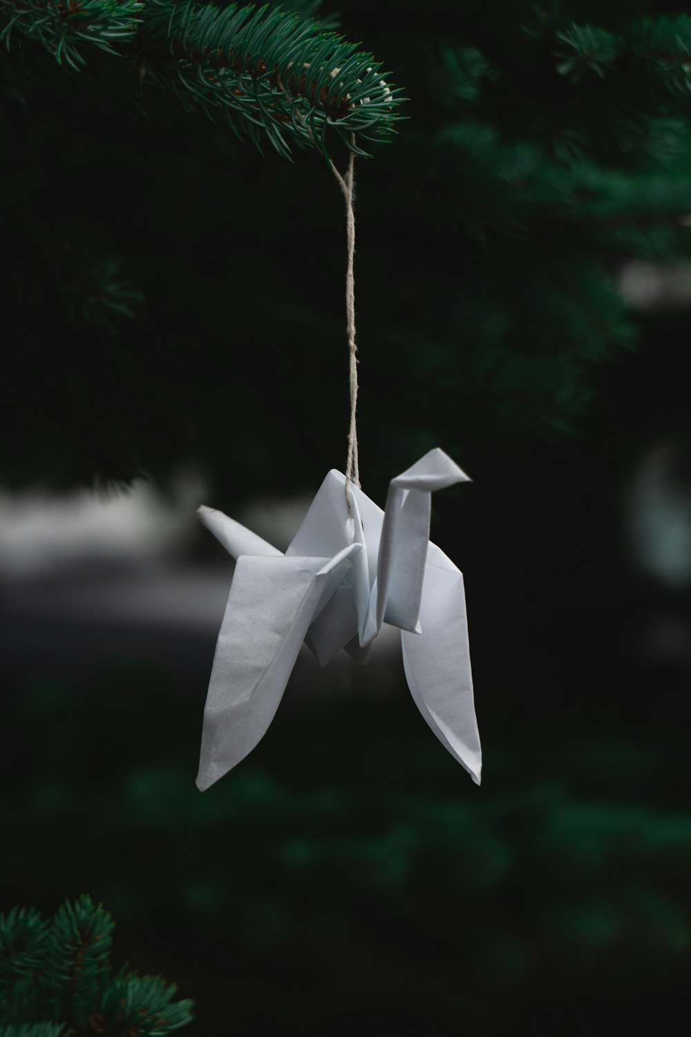 a white origami bird hanging from a pine tree