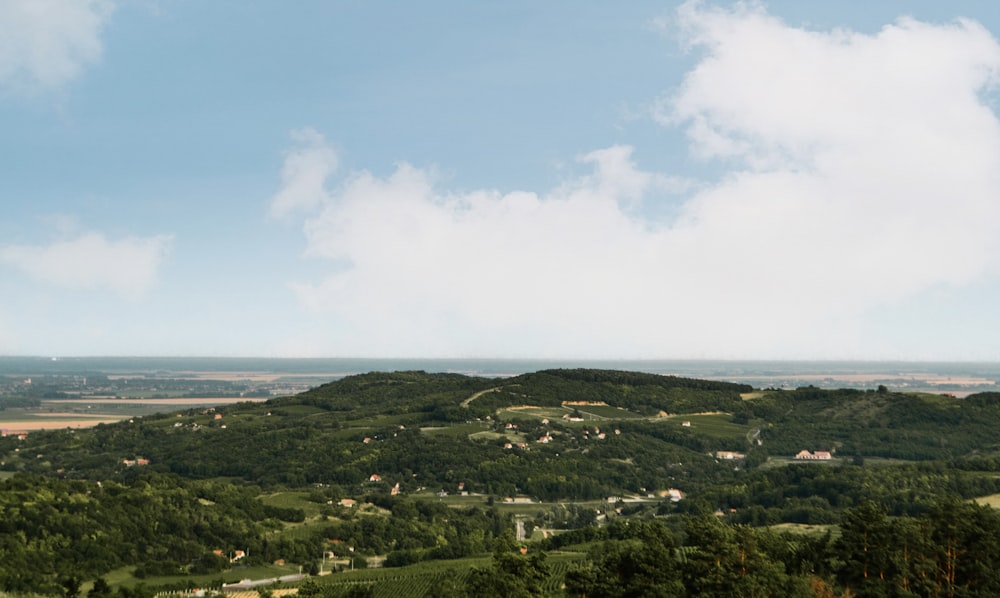 a scenic view of a hilly area with trees