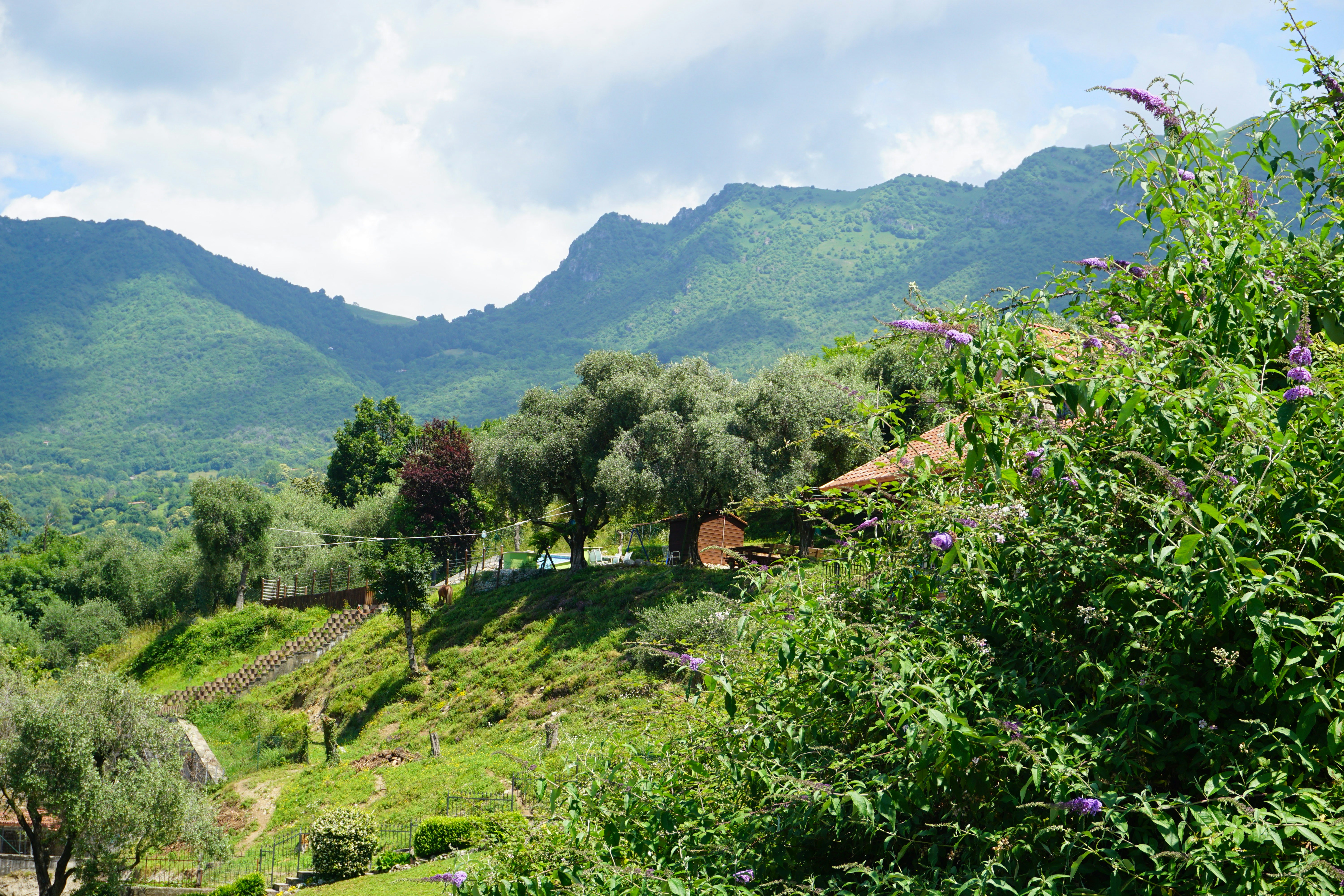 Peaceful Secluded Land in Stanley