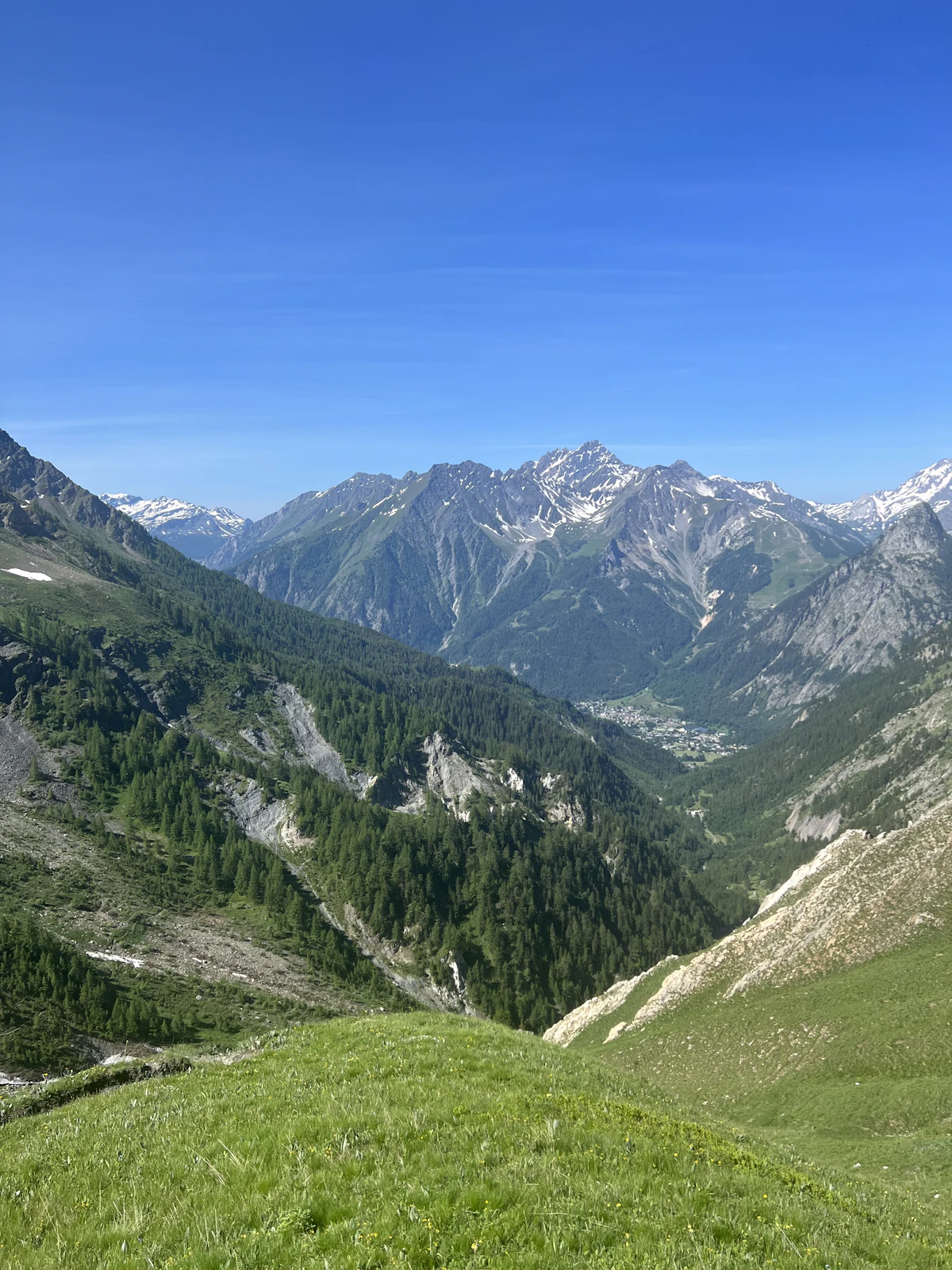 A grassy slope looking down a forested valley toward Courmayeur and snowy peaks