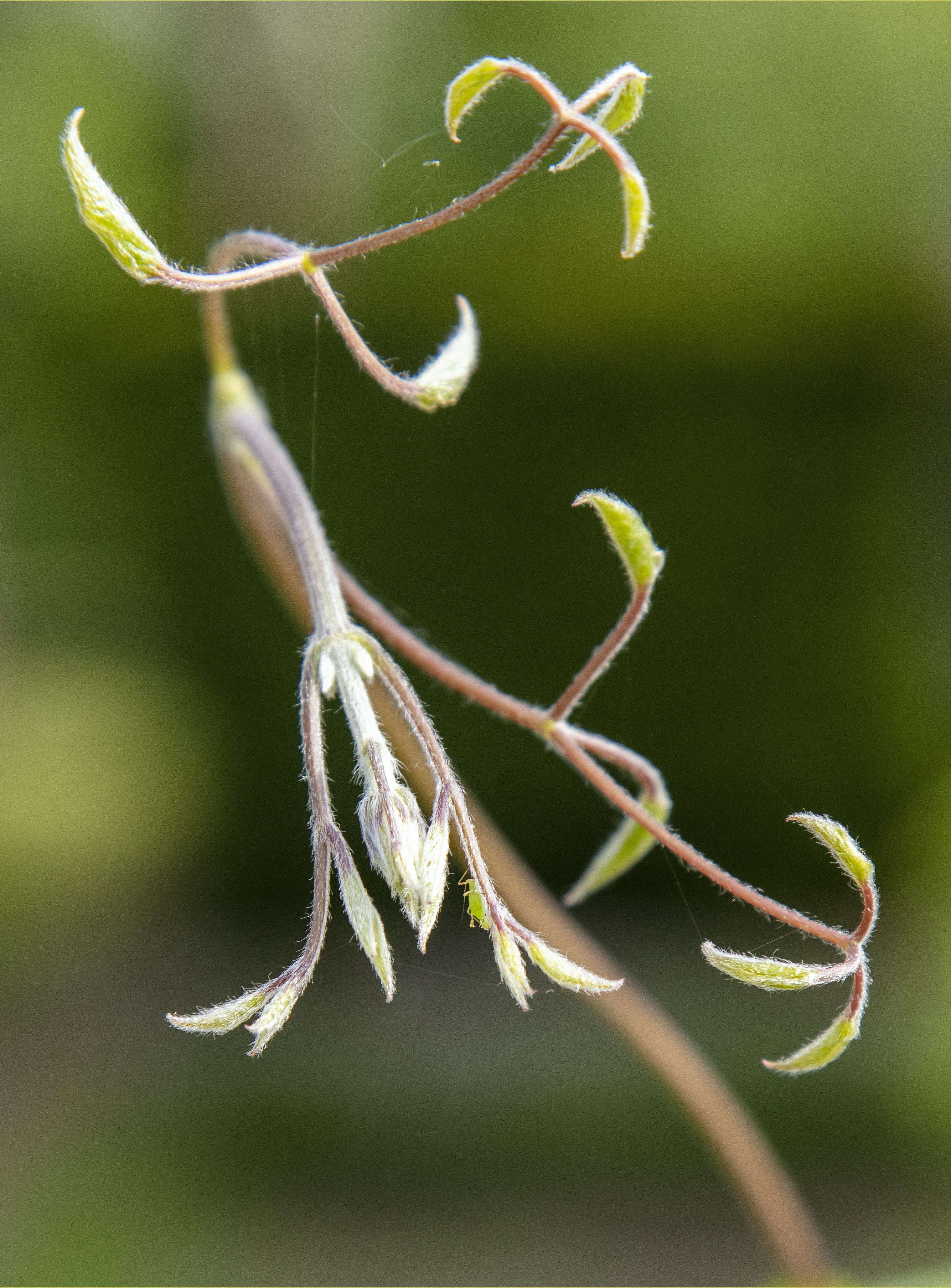 Photo by grandpappy1941