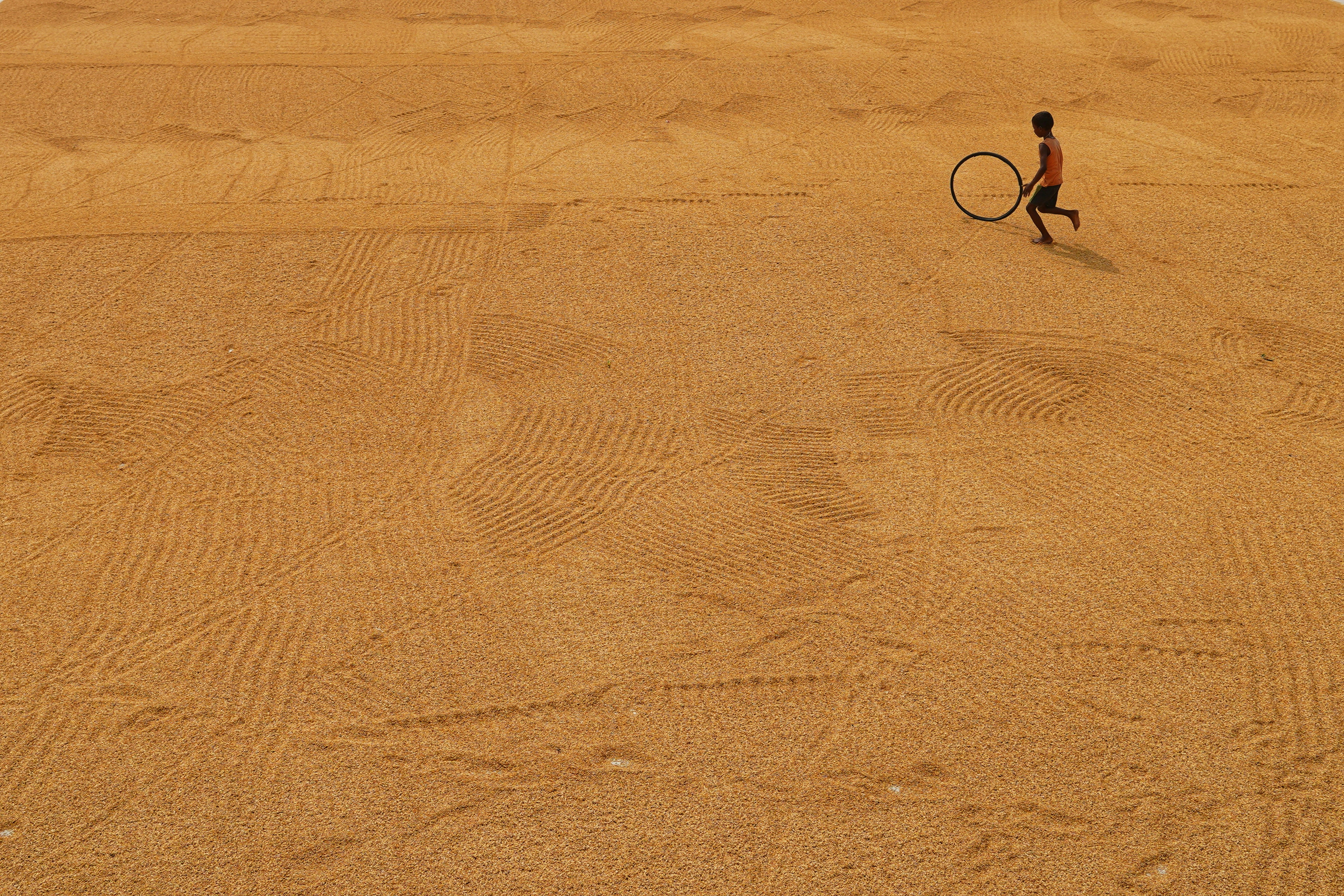 Photo by dibakar16roy