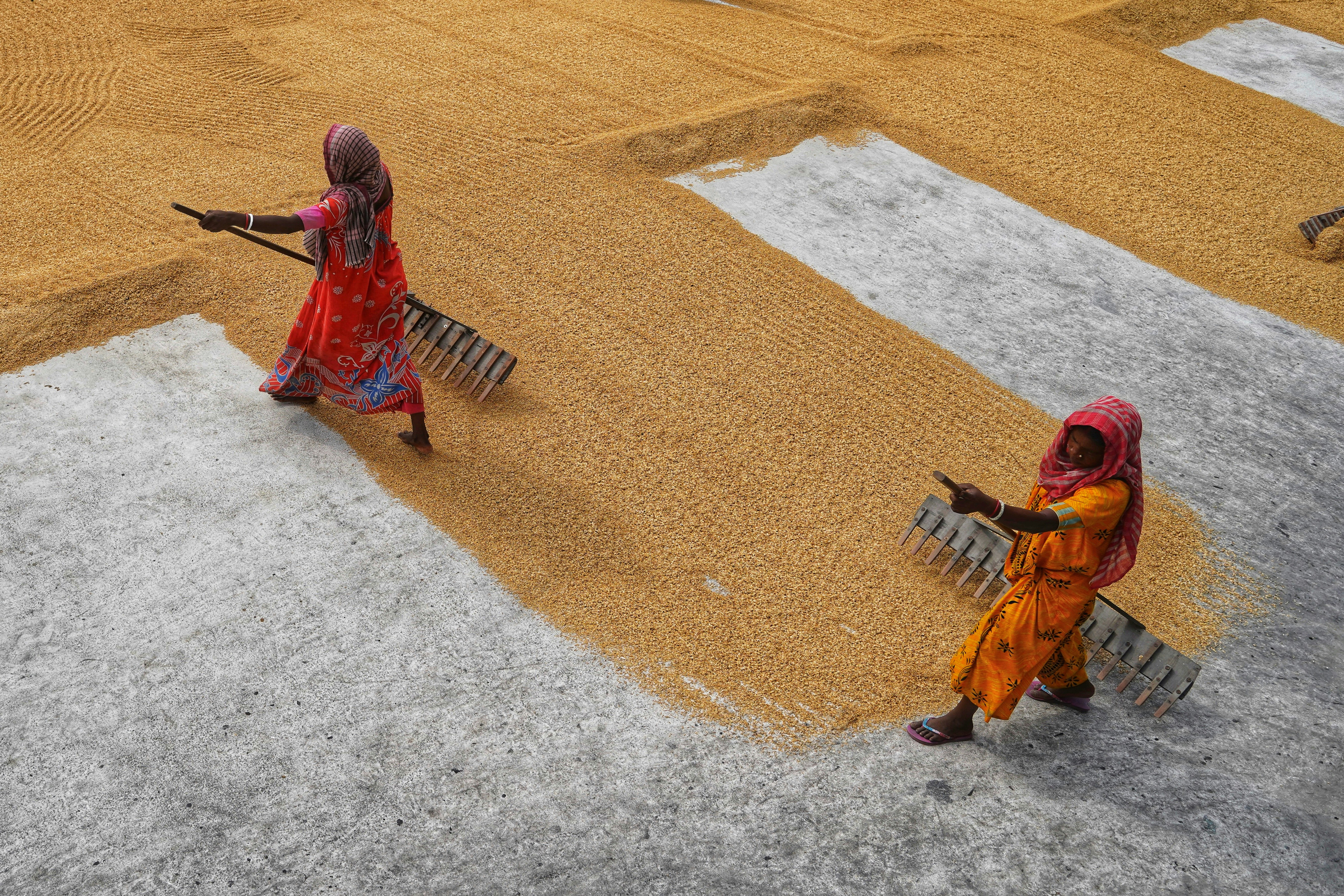 Photo by dibakar16roy