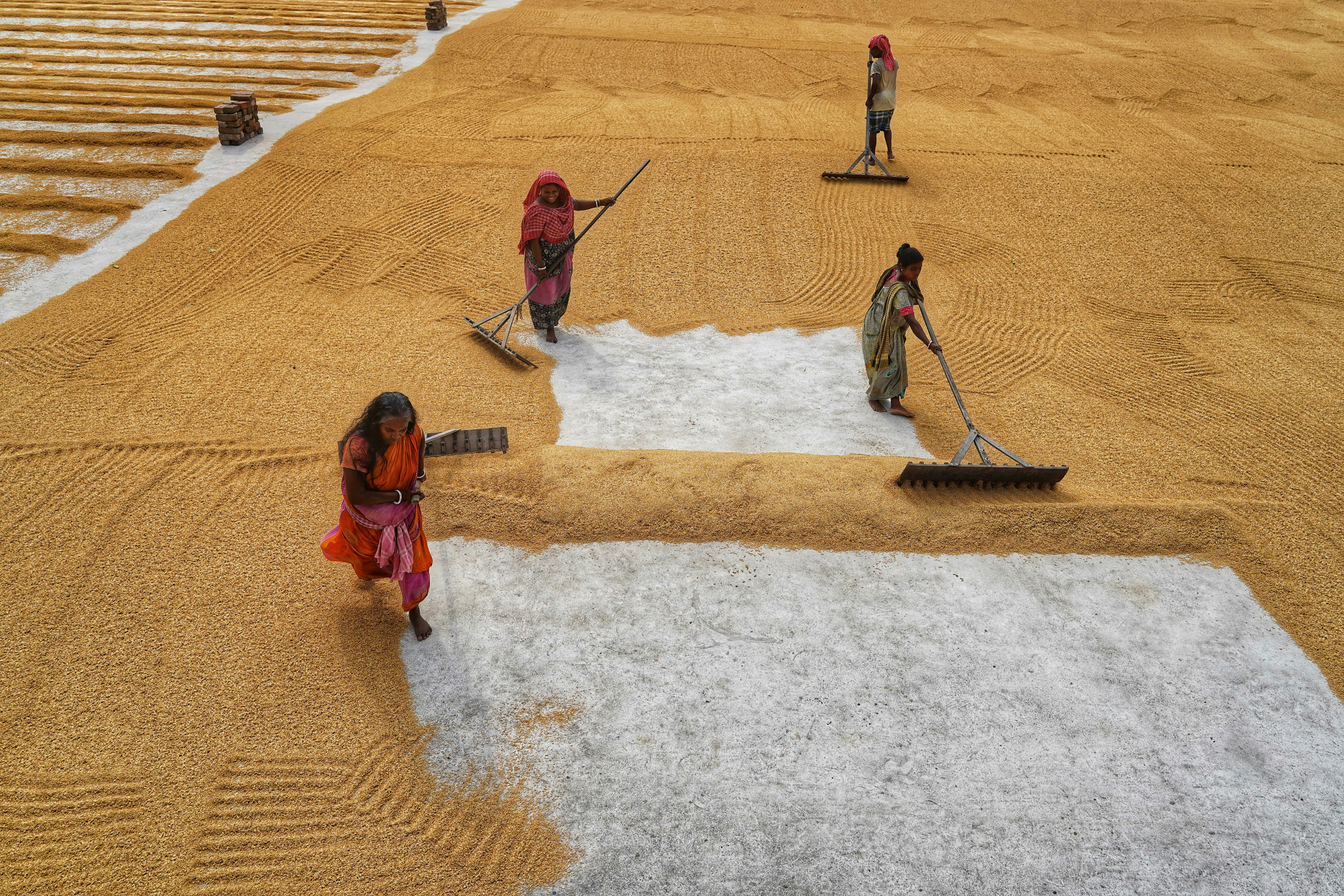 Photo by dibakar16roy