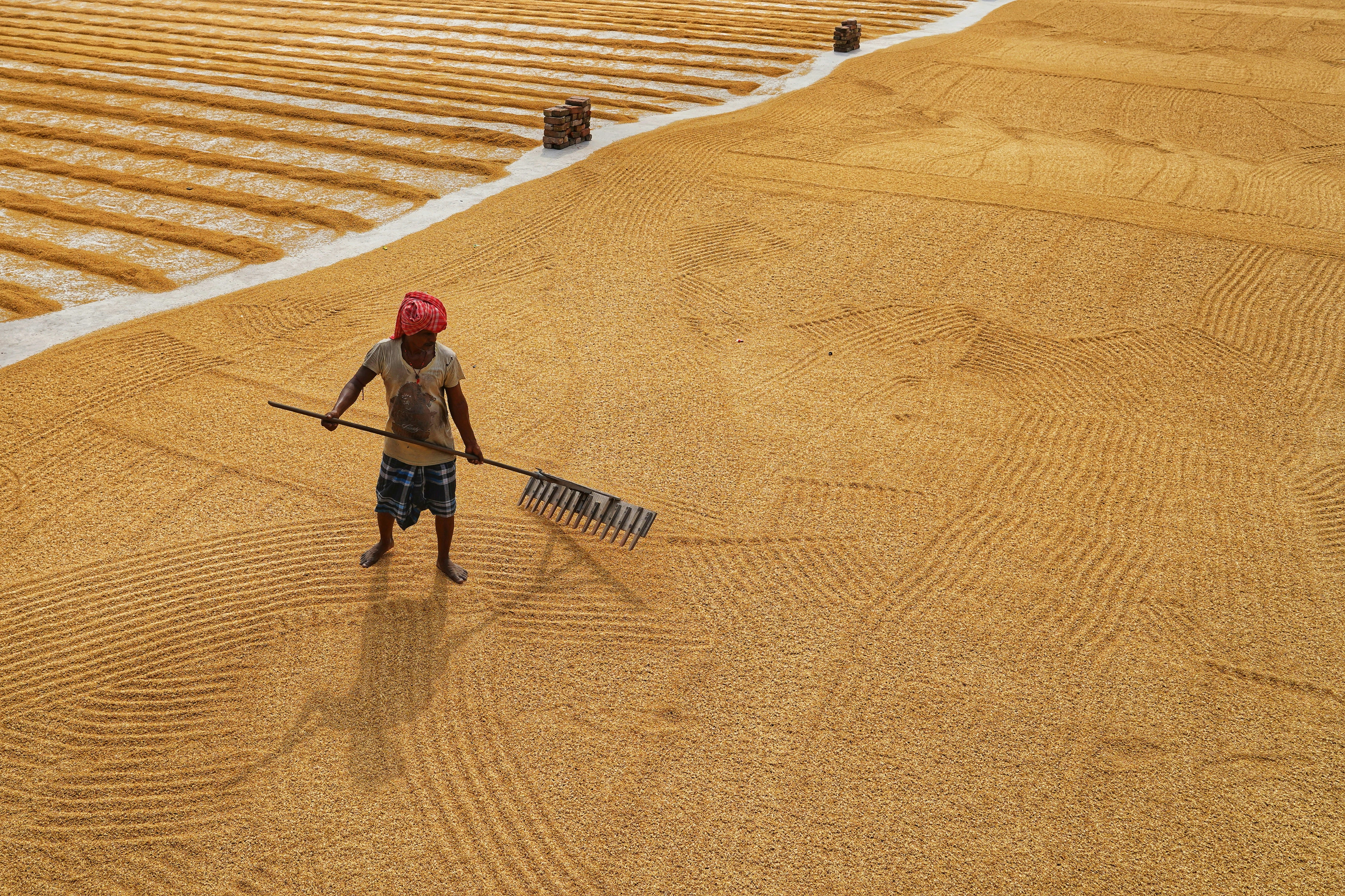 Farmer with tools