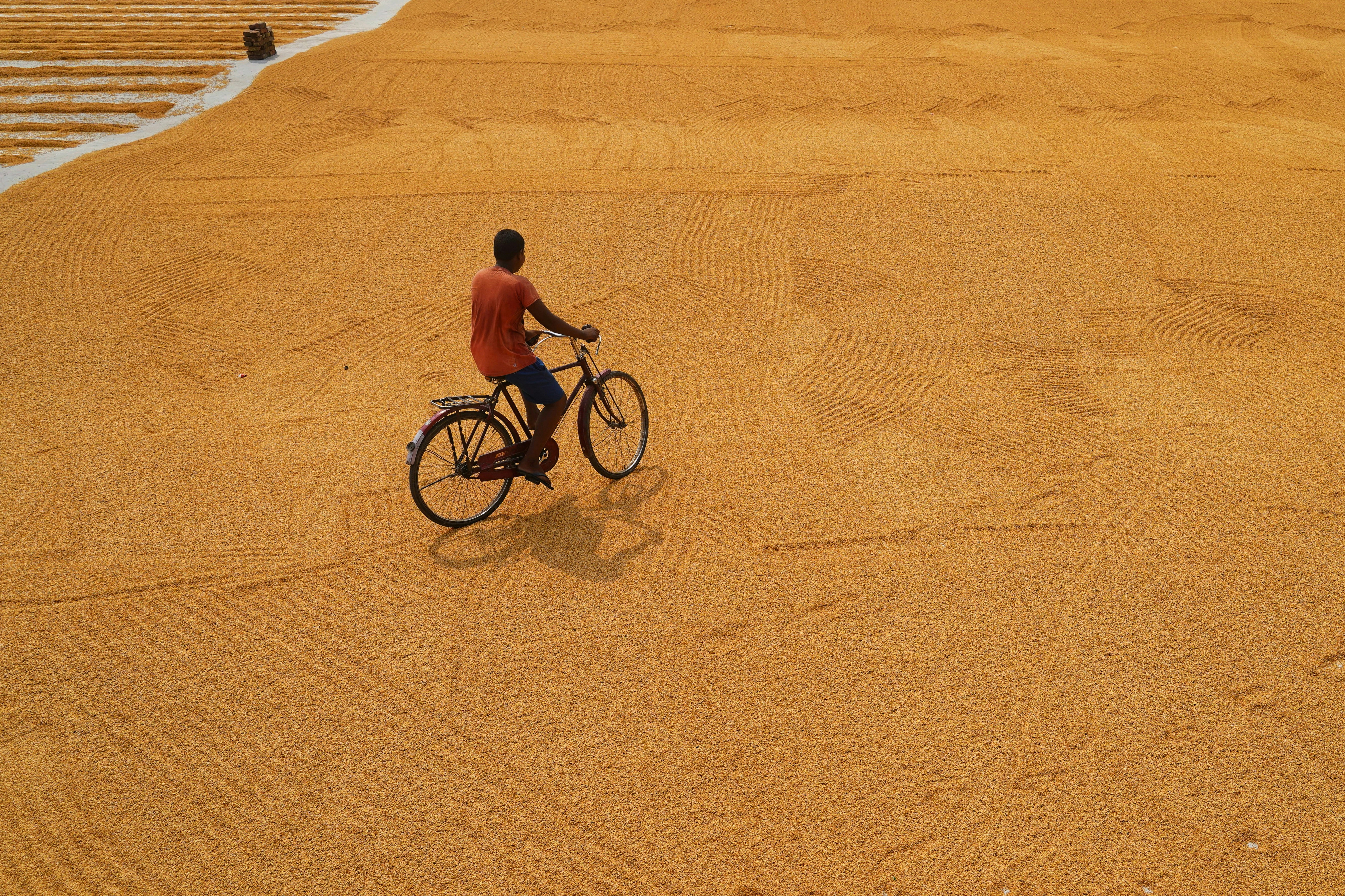a man riding a bike down a sandy beach