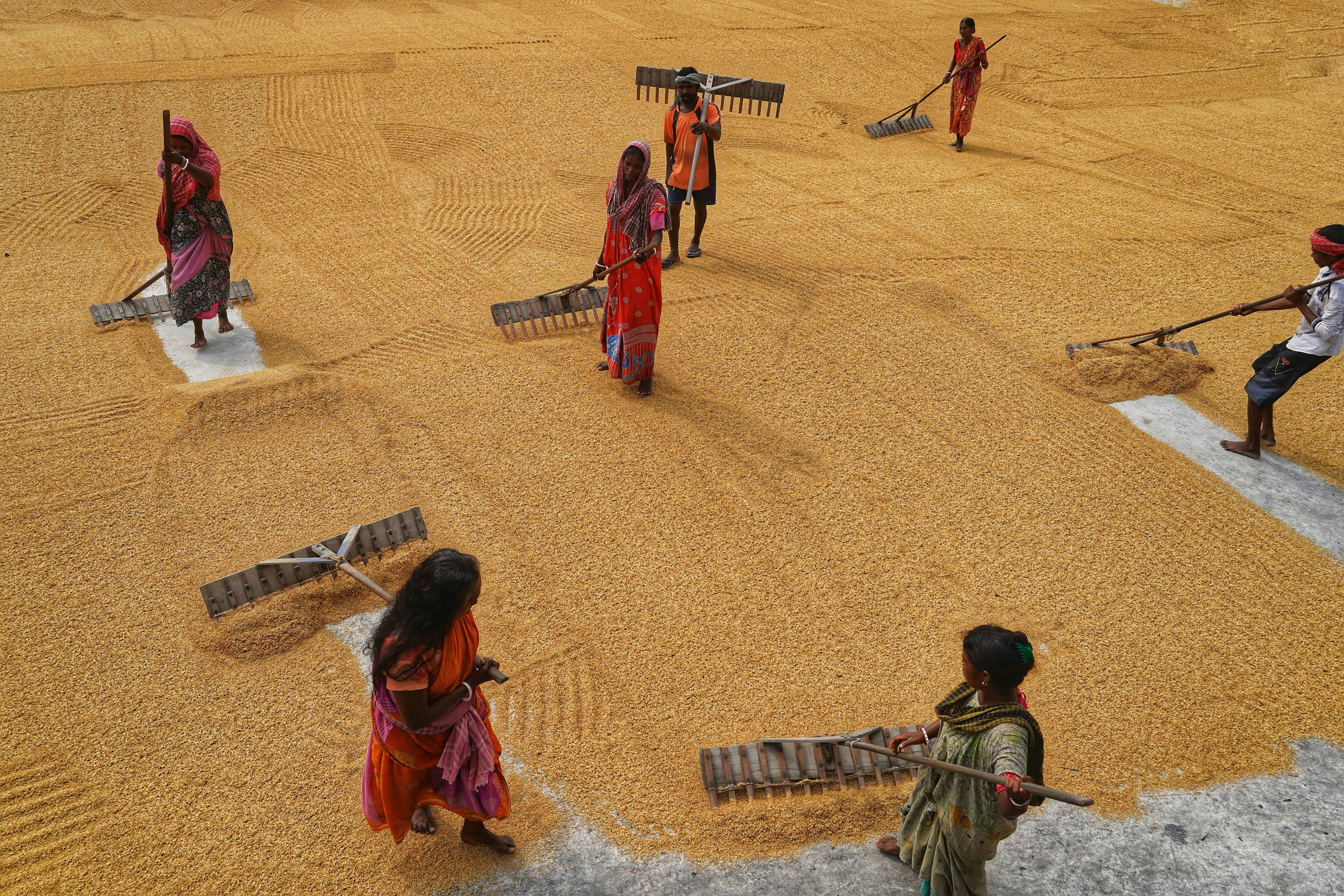 Photo by dibakar16roy