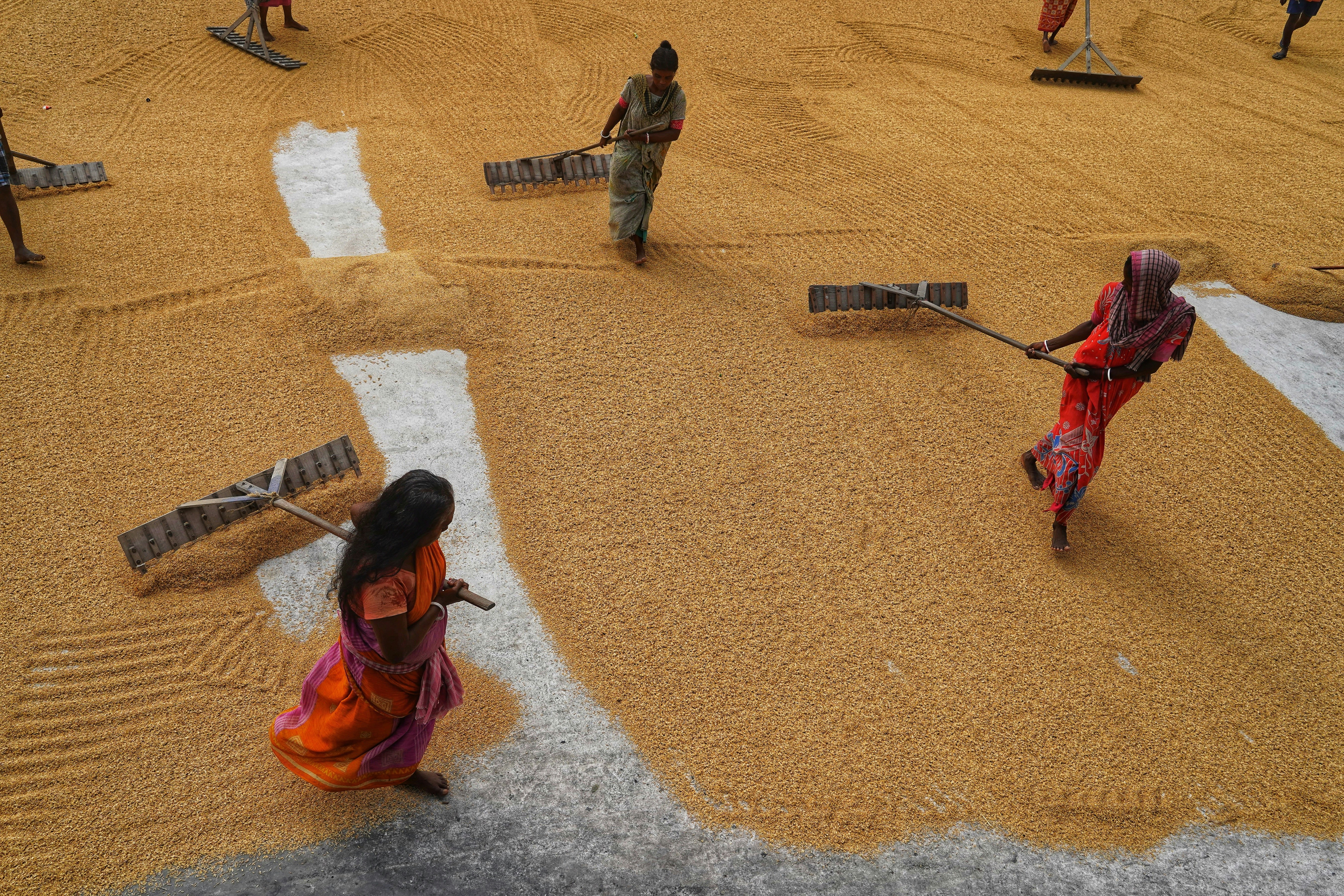 Photo by dibakar16roy