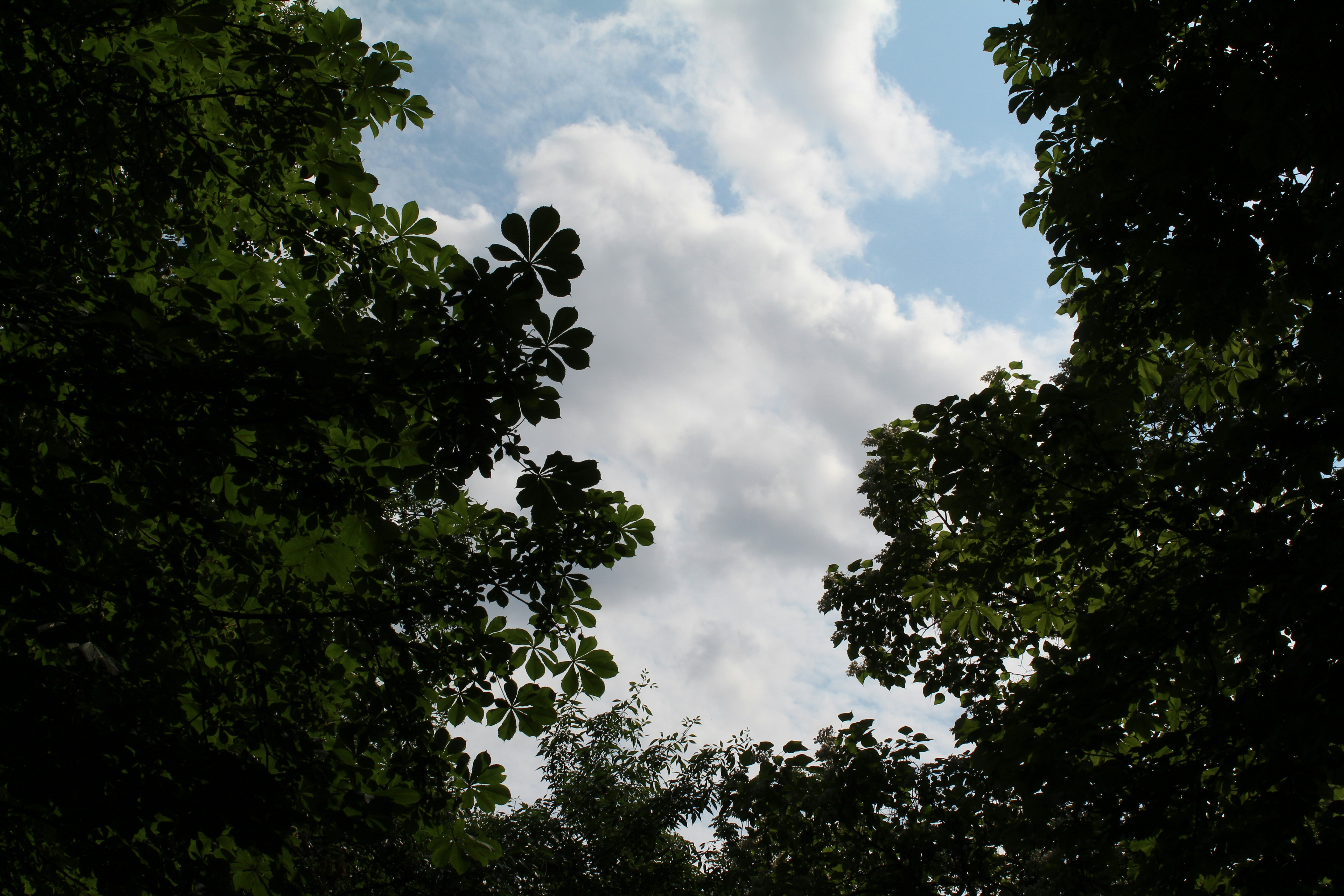 Photo by juliatsuckanova