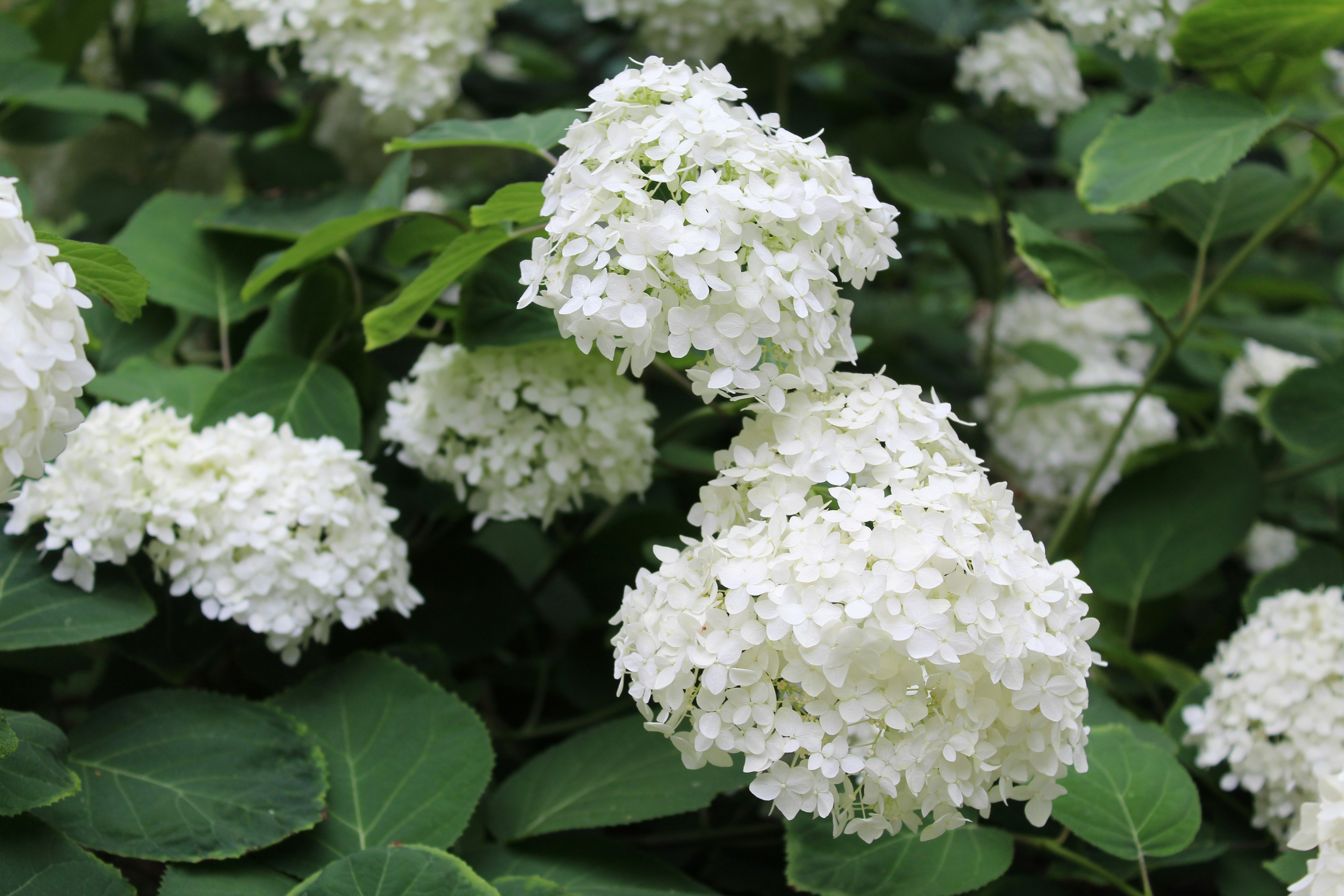 Photo by juliatsuckanova