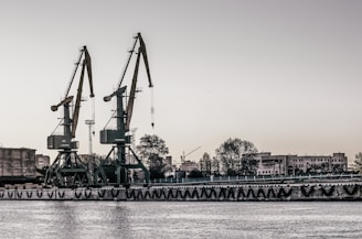 a large body of water with a bunch of cranes on top of it
