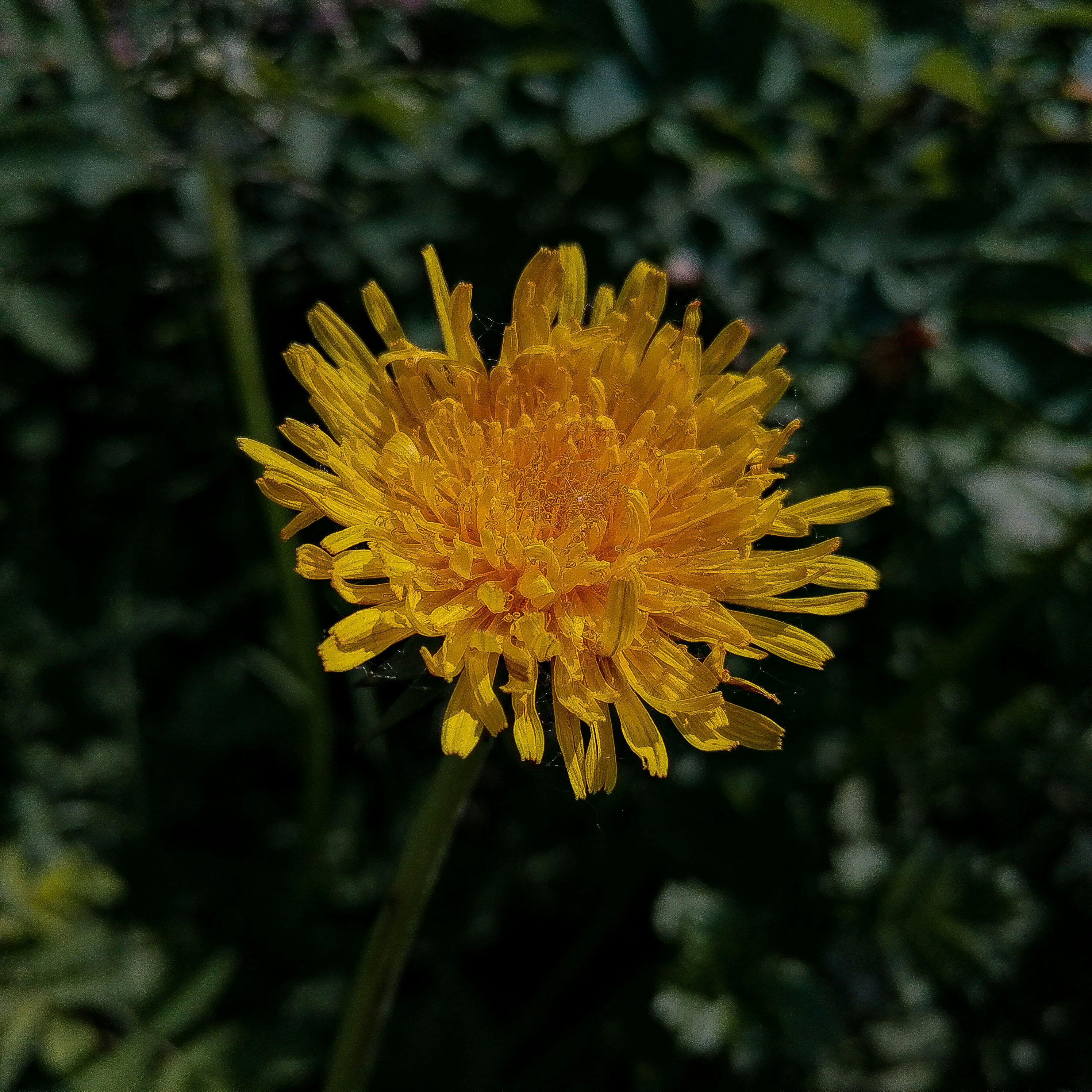 Photo by nothingsospecial