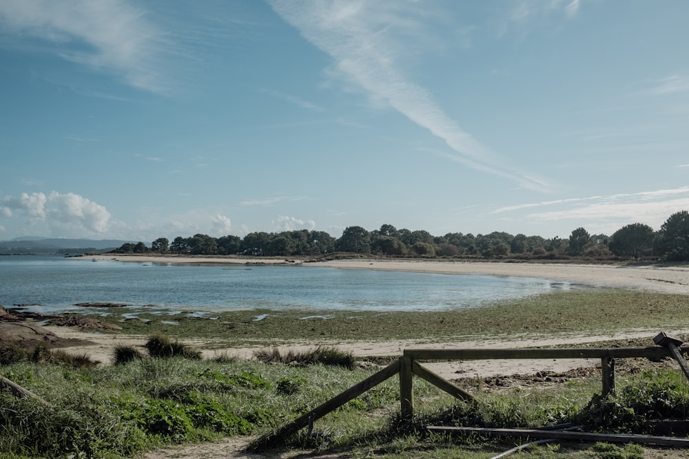 a view of a body of water from a beach