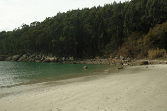 A serene hidden beach with turquoise waters and lush greenery.