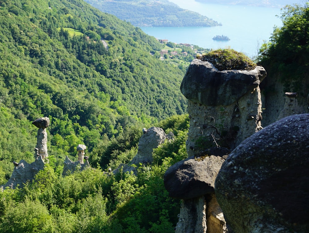 a scenic view of a valley with a lake in the distance