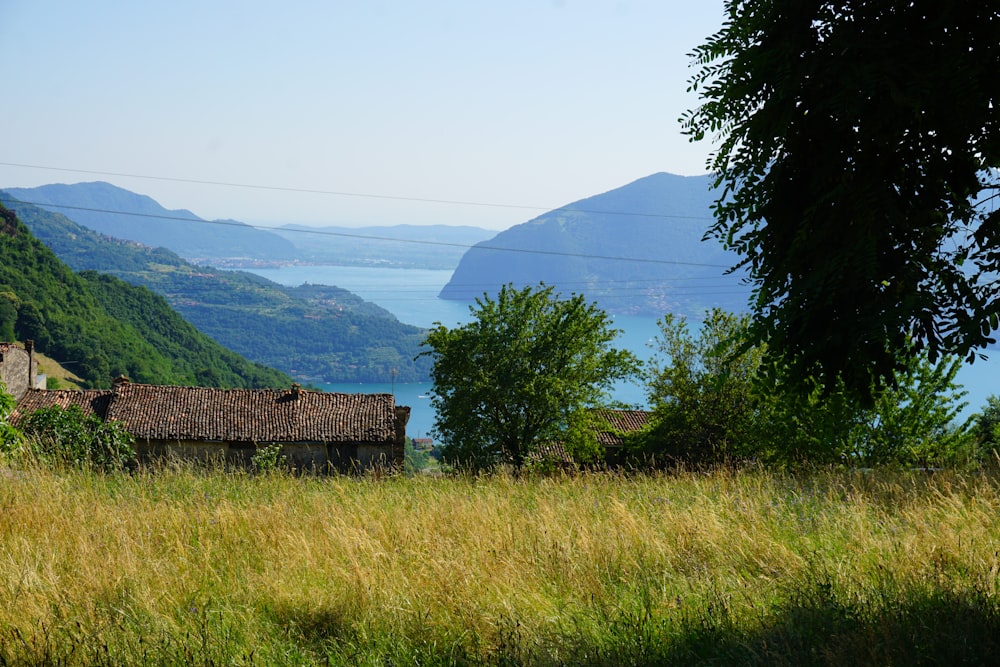 a grassy field with a house in the background