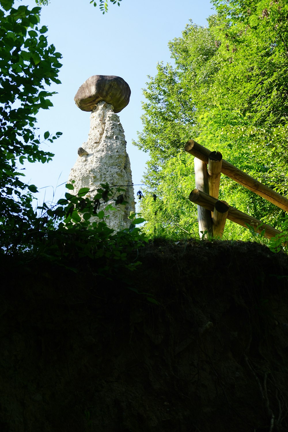 a large rock sitting on top of a lush green hillside