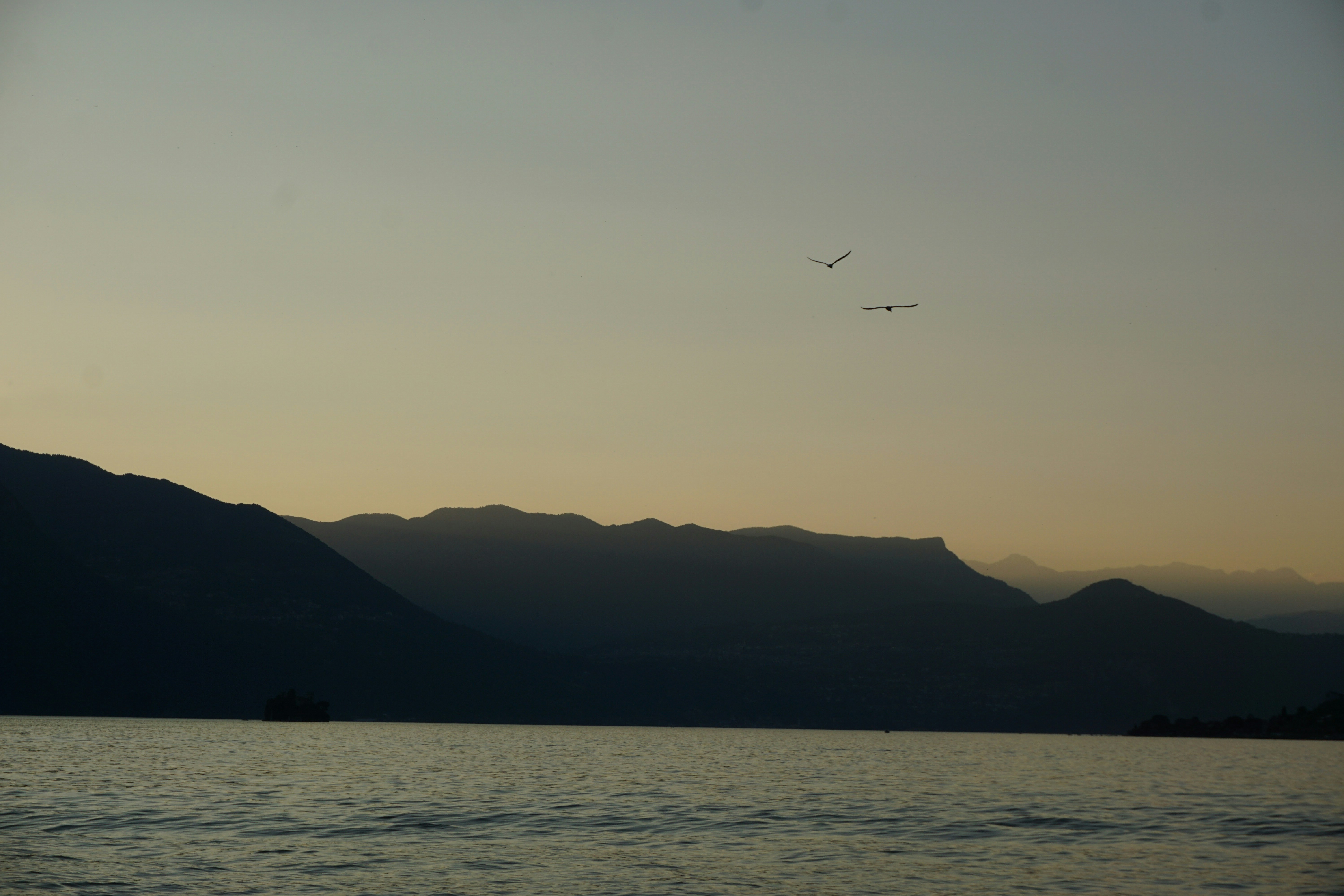 Photo by andreas_haubold