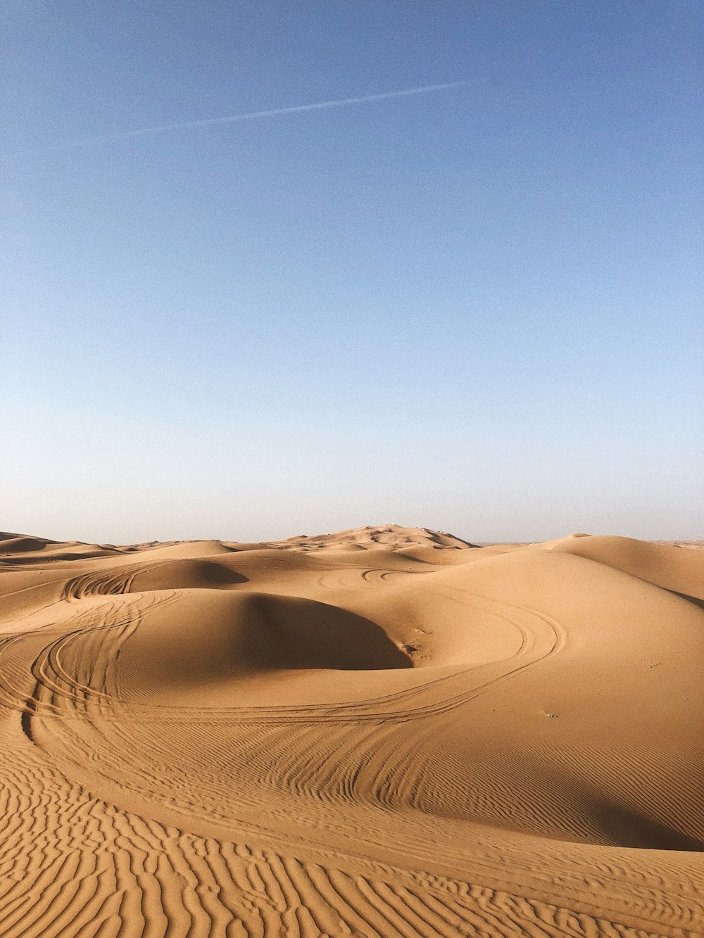 a person riding a horse in the desert