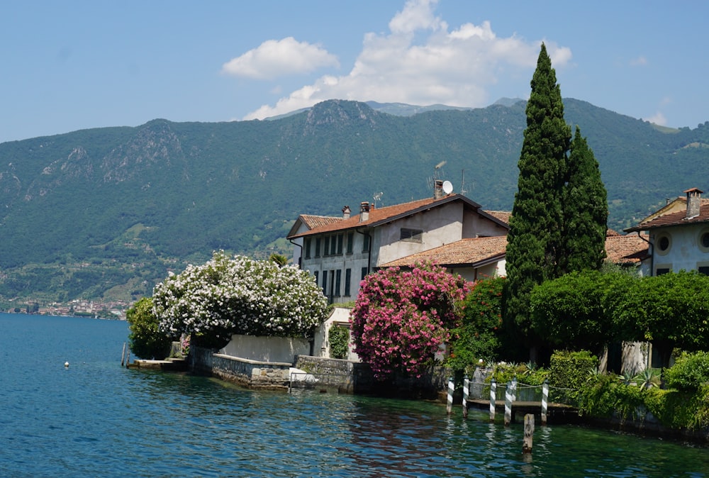 a large body of water surrounded by trees and buildings