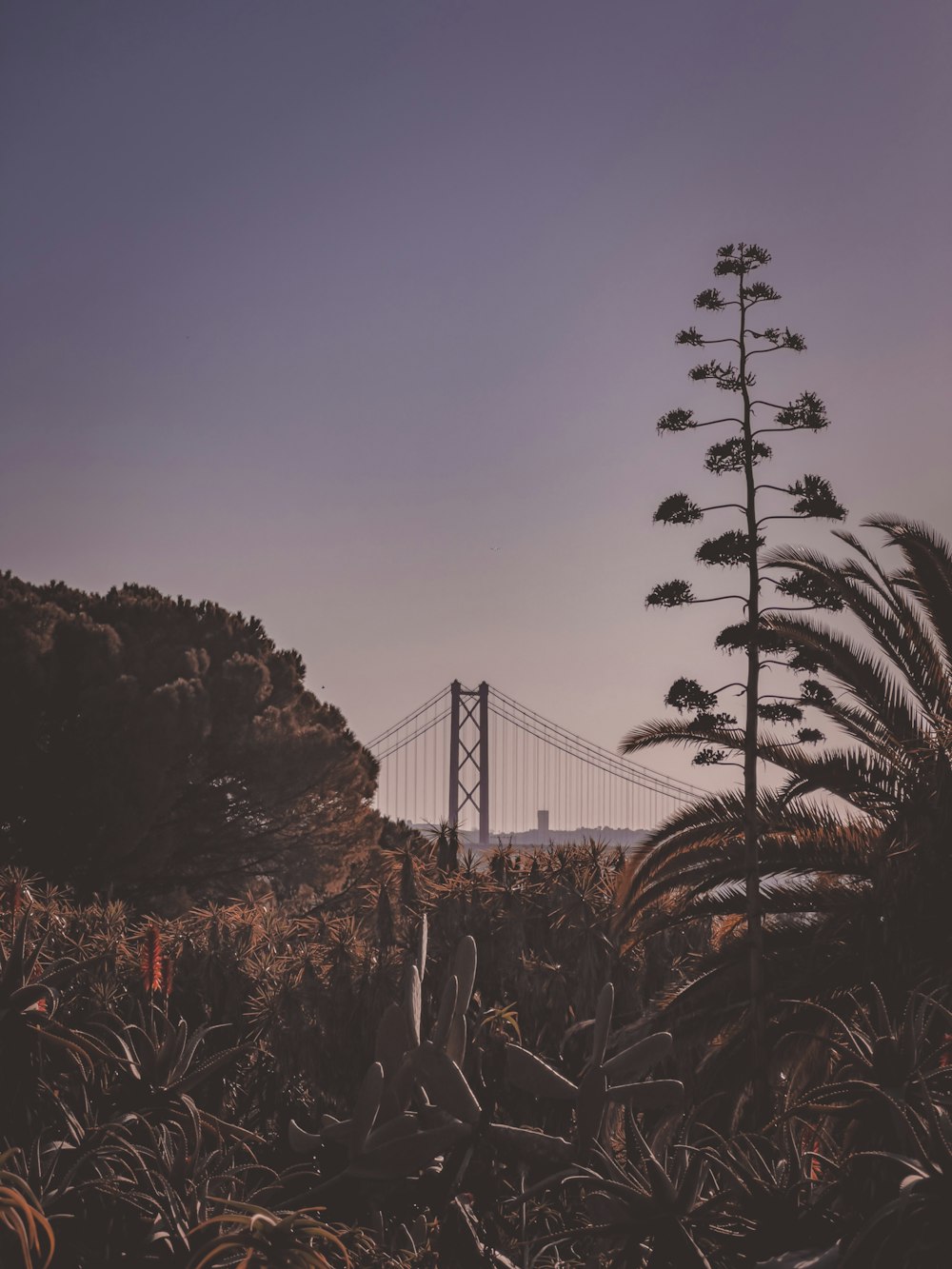 a view of the golden gate bridge in san francisco